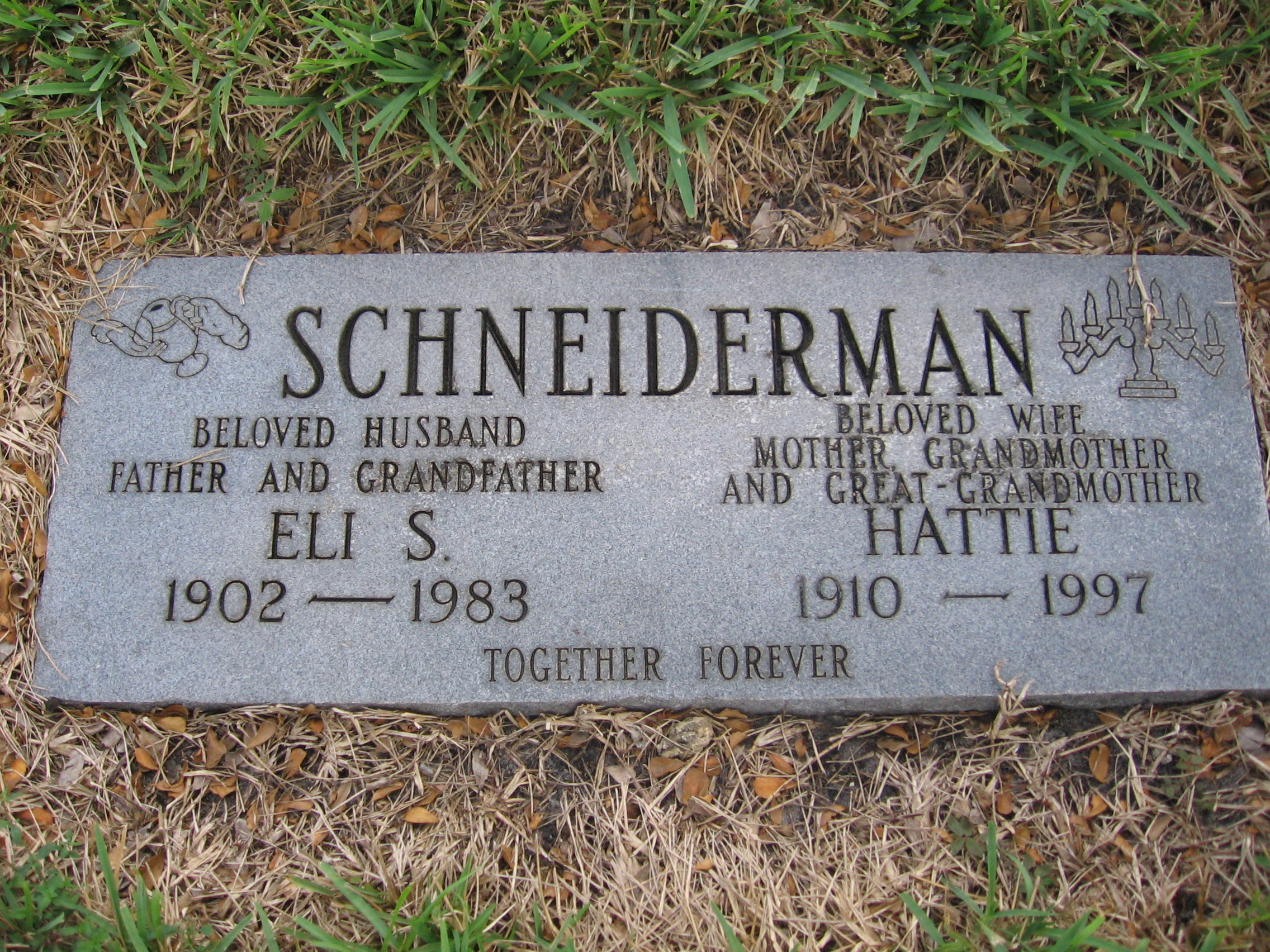 Eli S Schneiderman