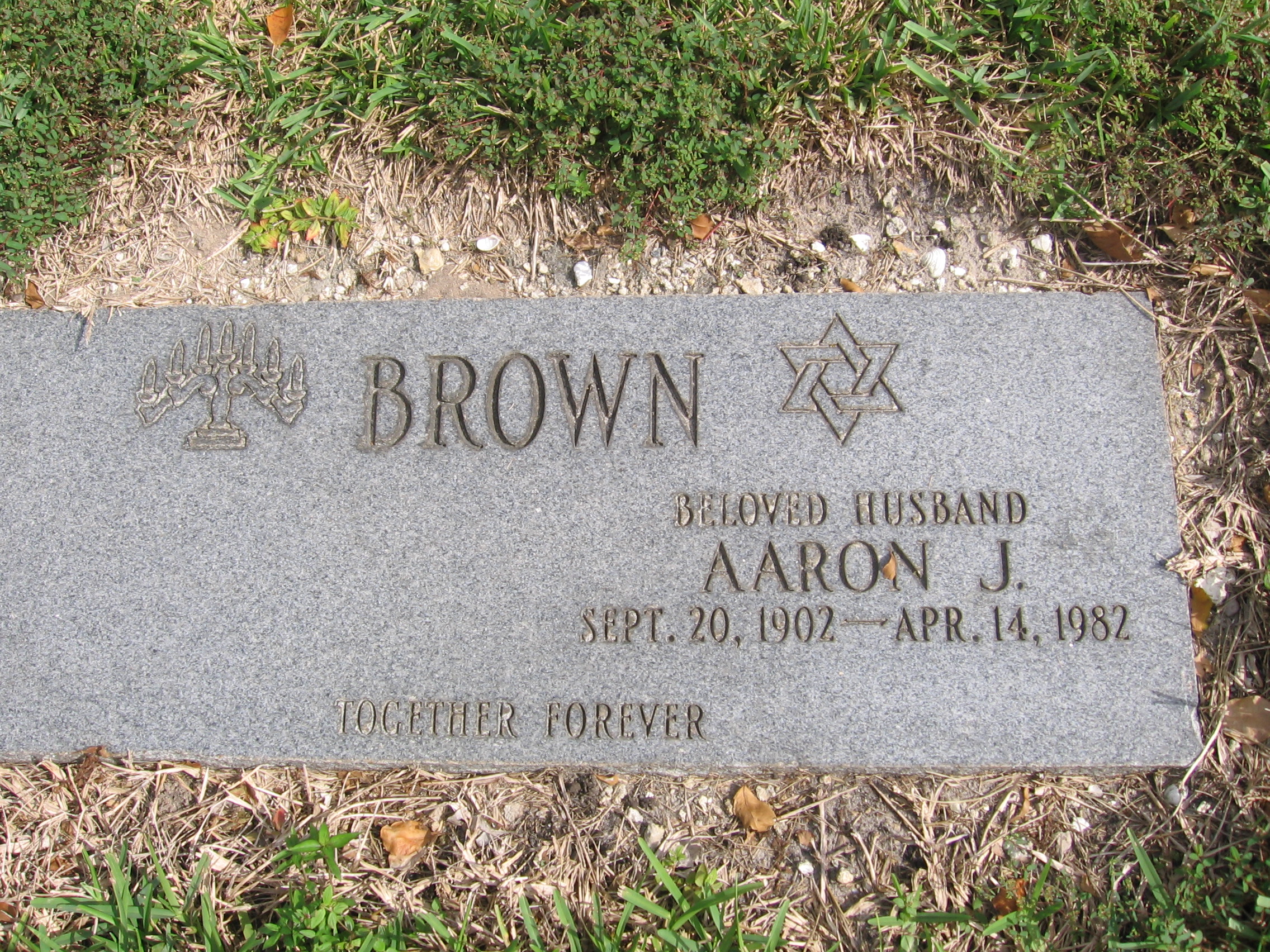 Aaron J Brown