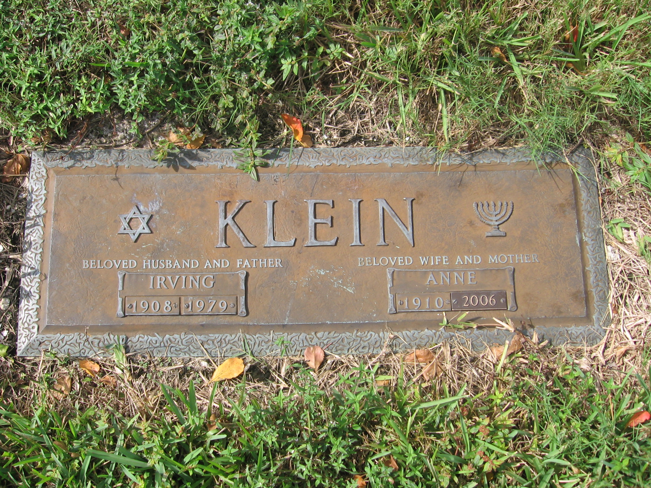 Irving Klein