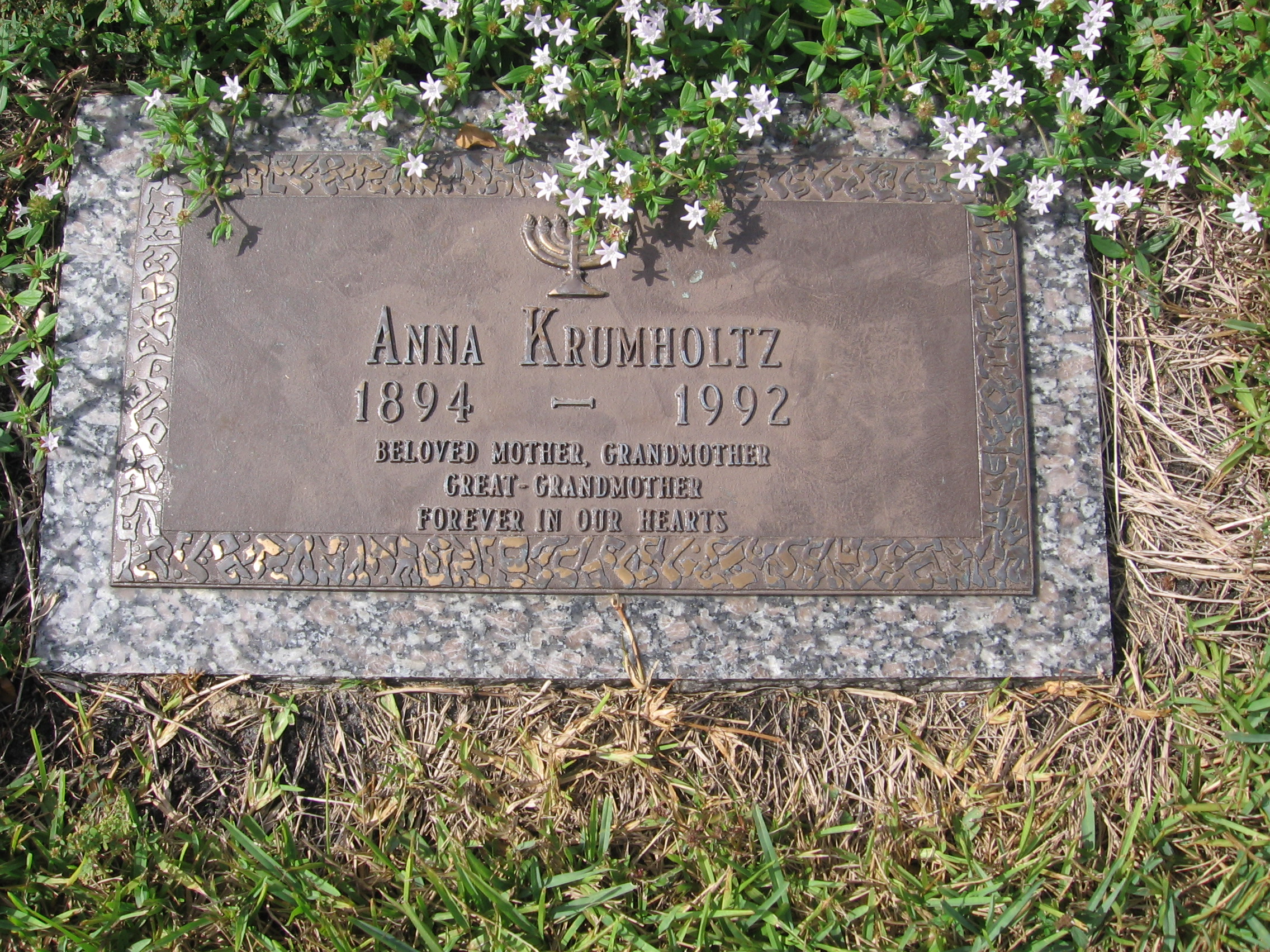 Anna Krumholtz