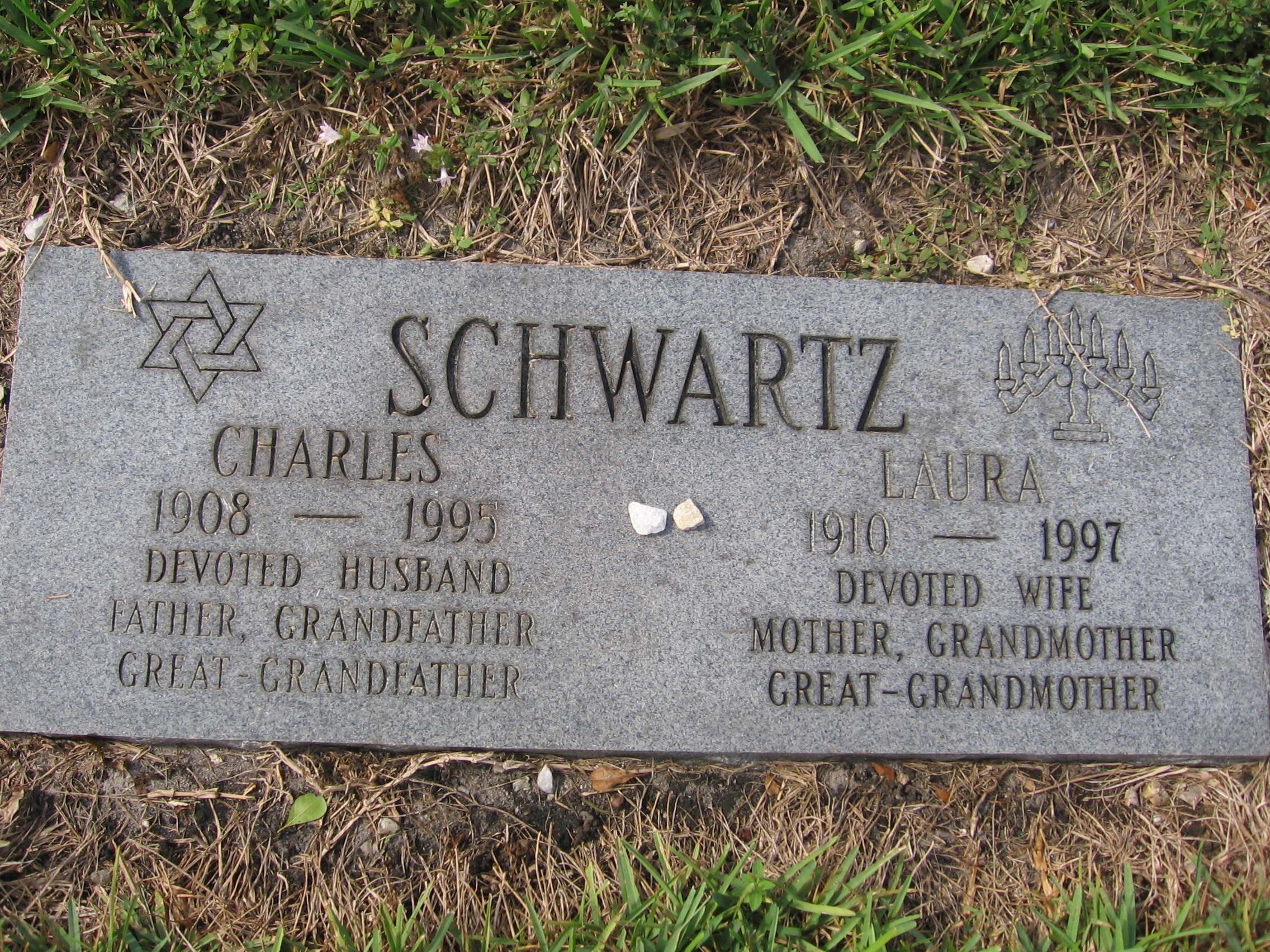 Charles Schwartz
