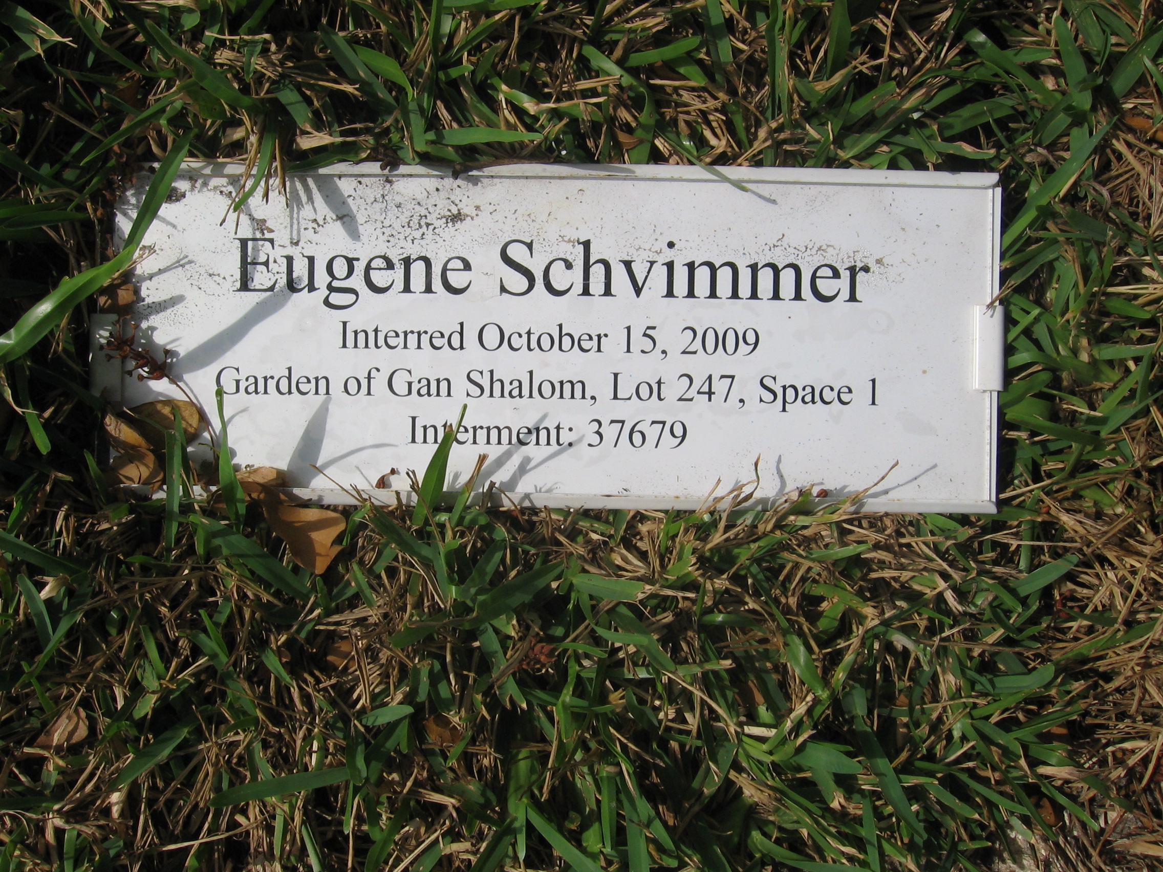 Eugene Schvimmer