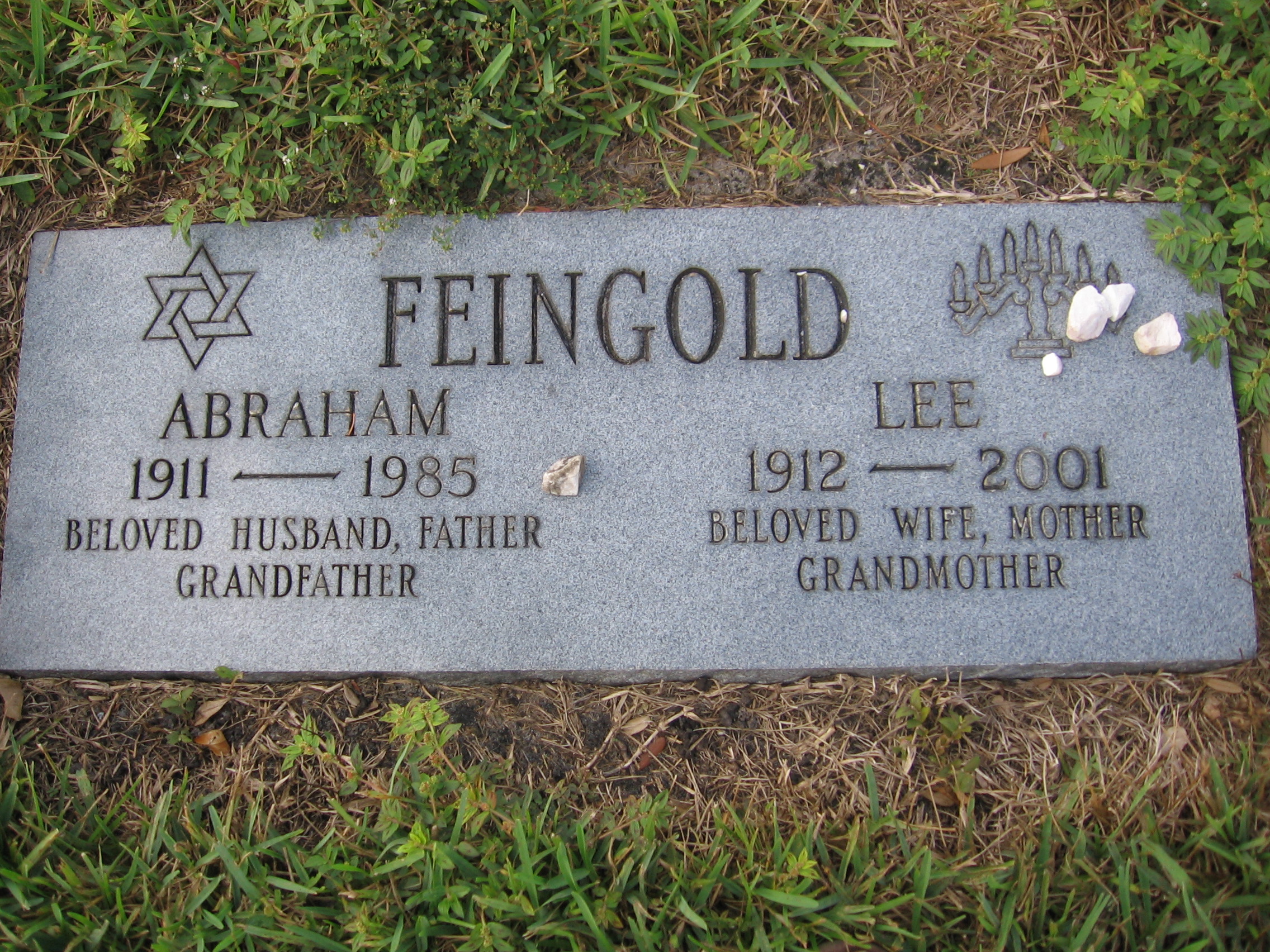 Abraham Feingold
