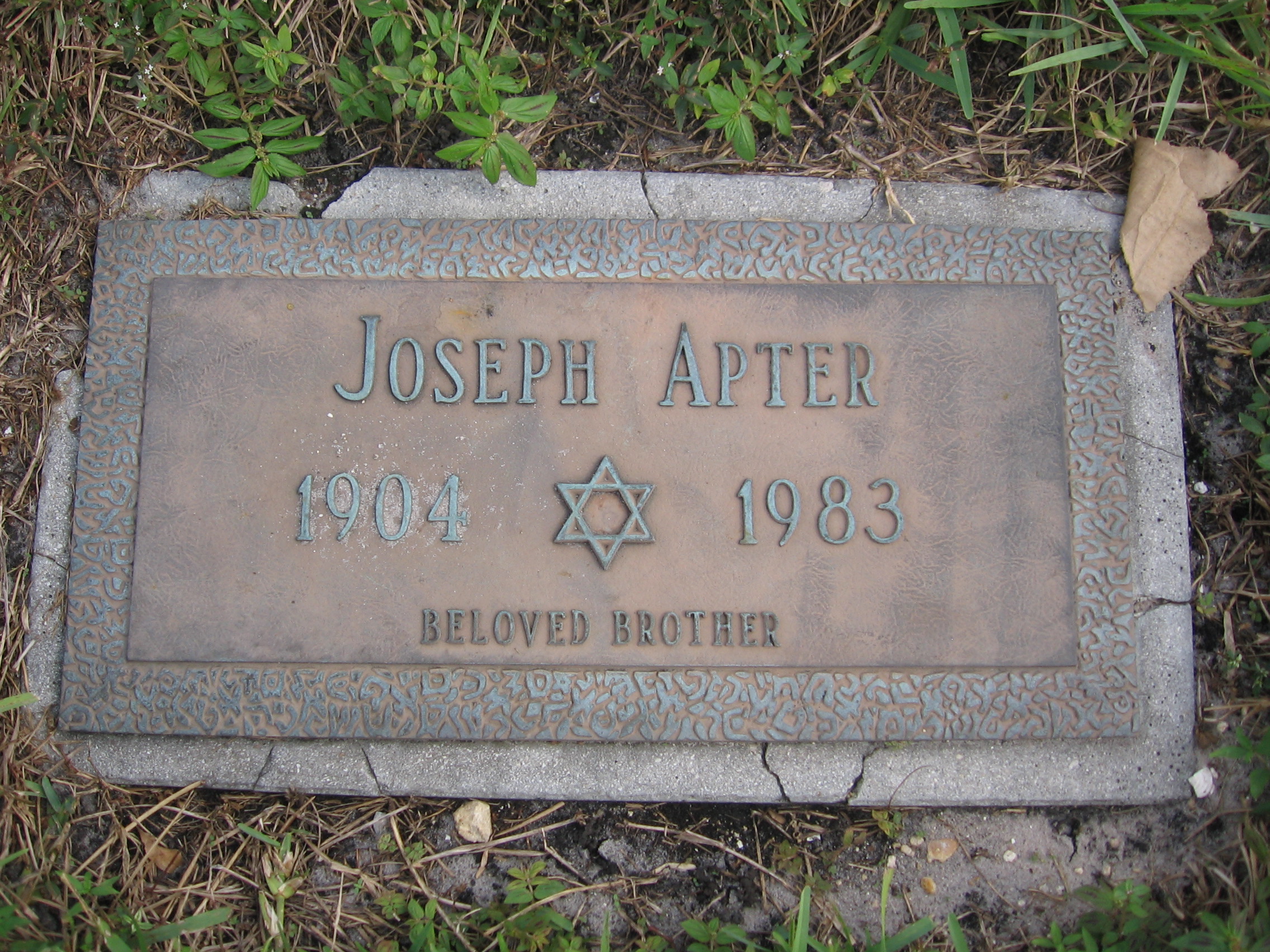 Joseph Apter
