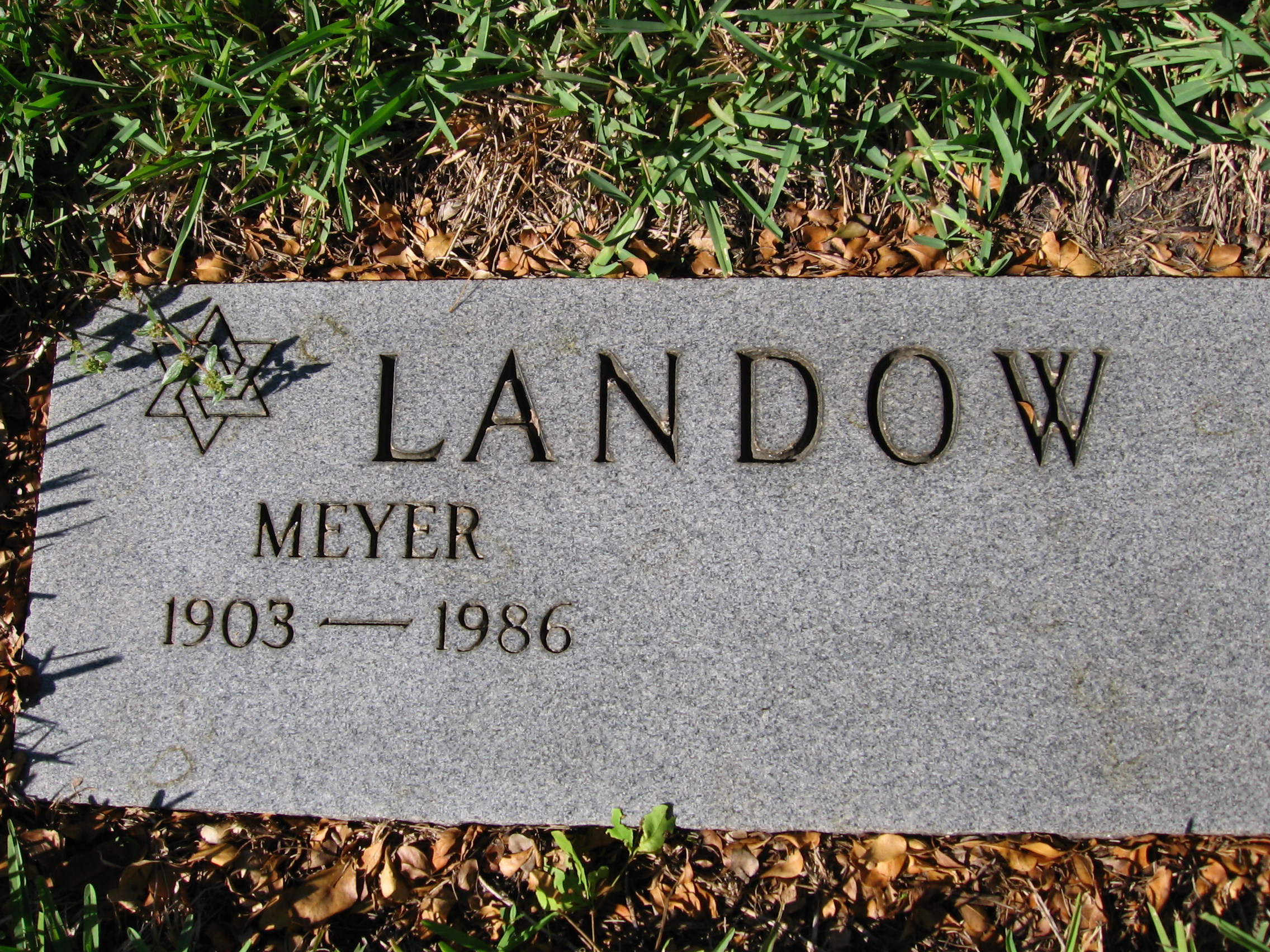 Meyer Landow