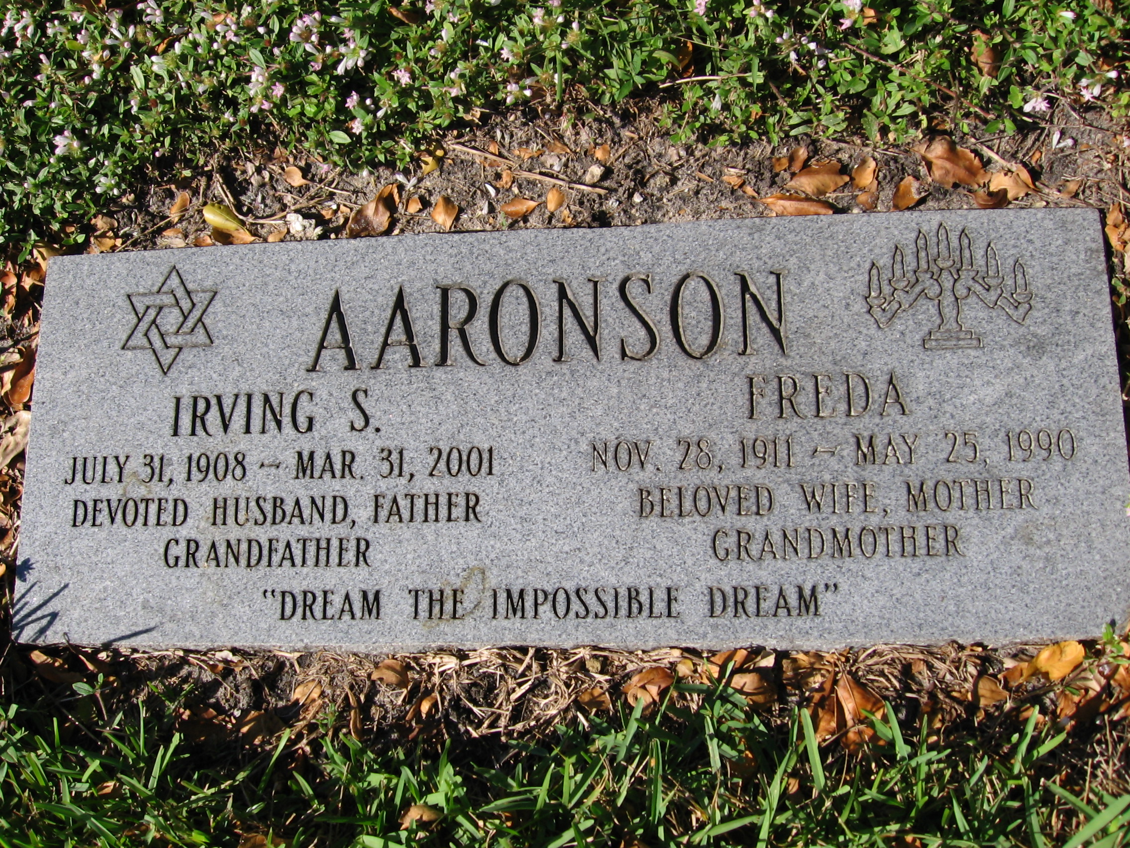 Irving S Aaronson