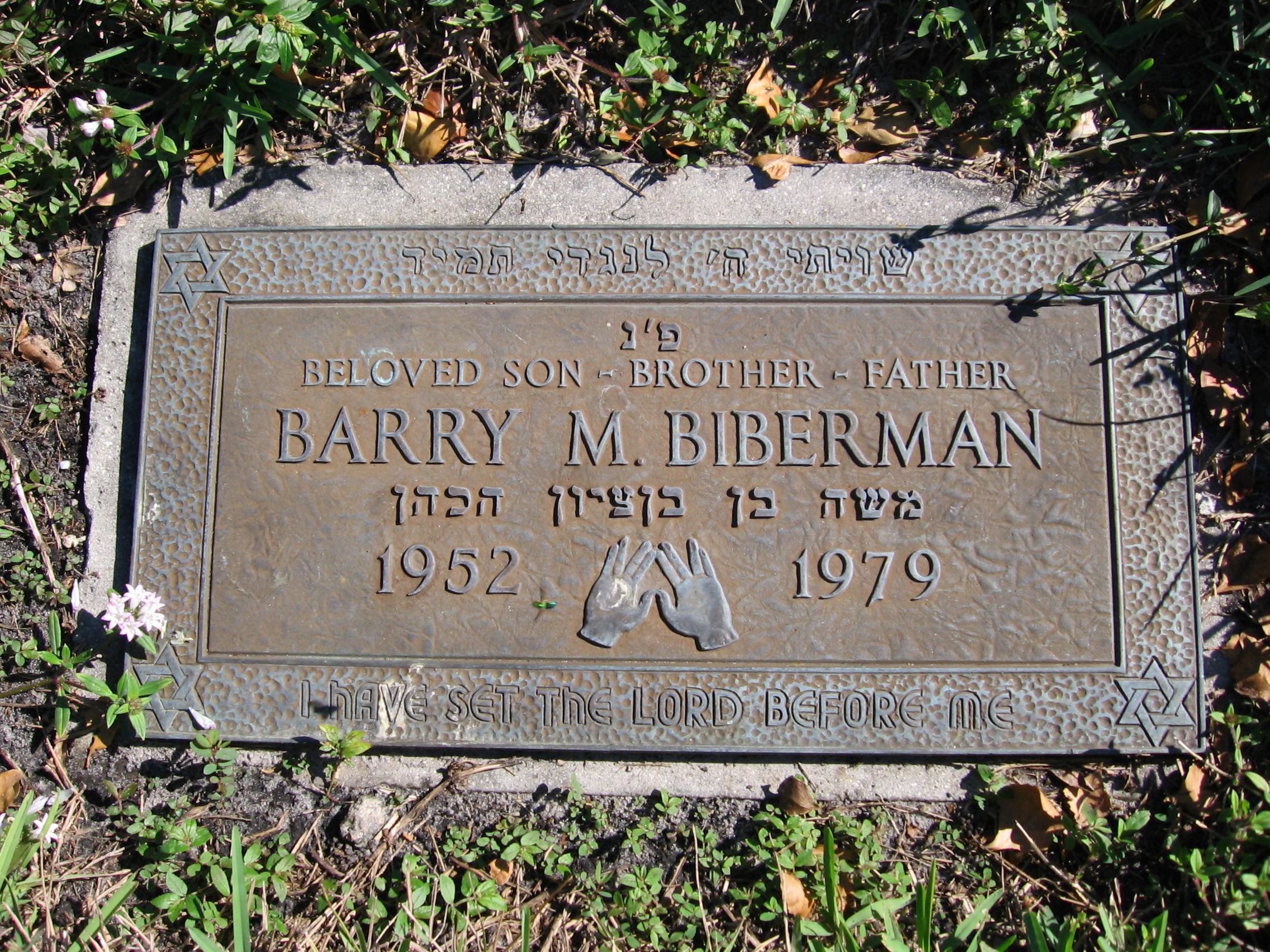Barry M Biberman