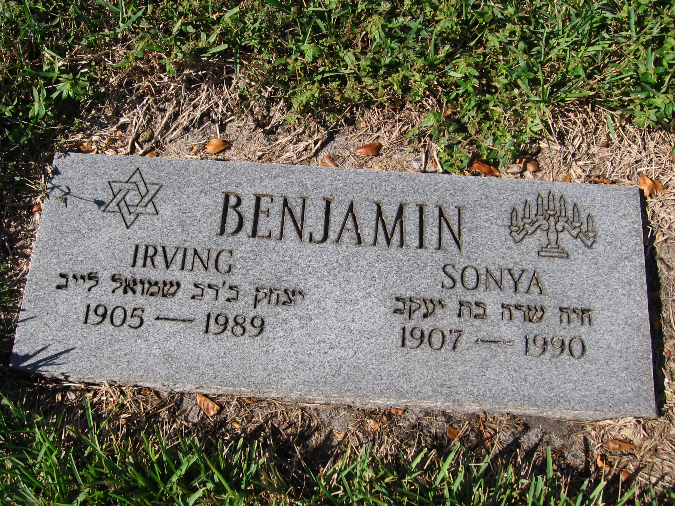 Irving Benjamin