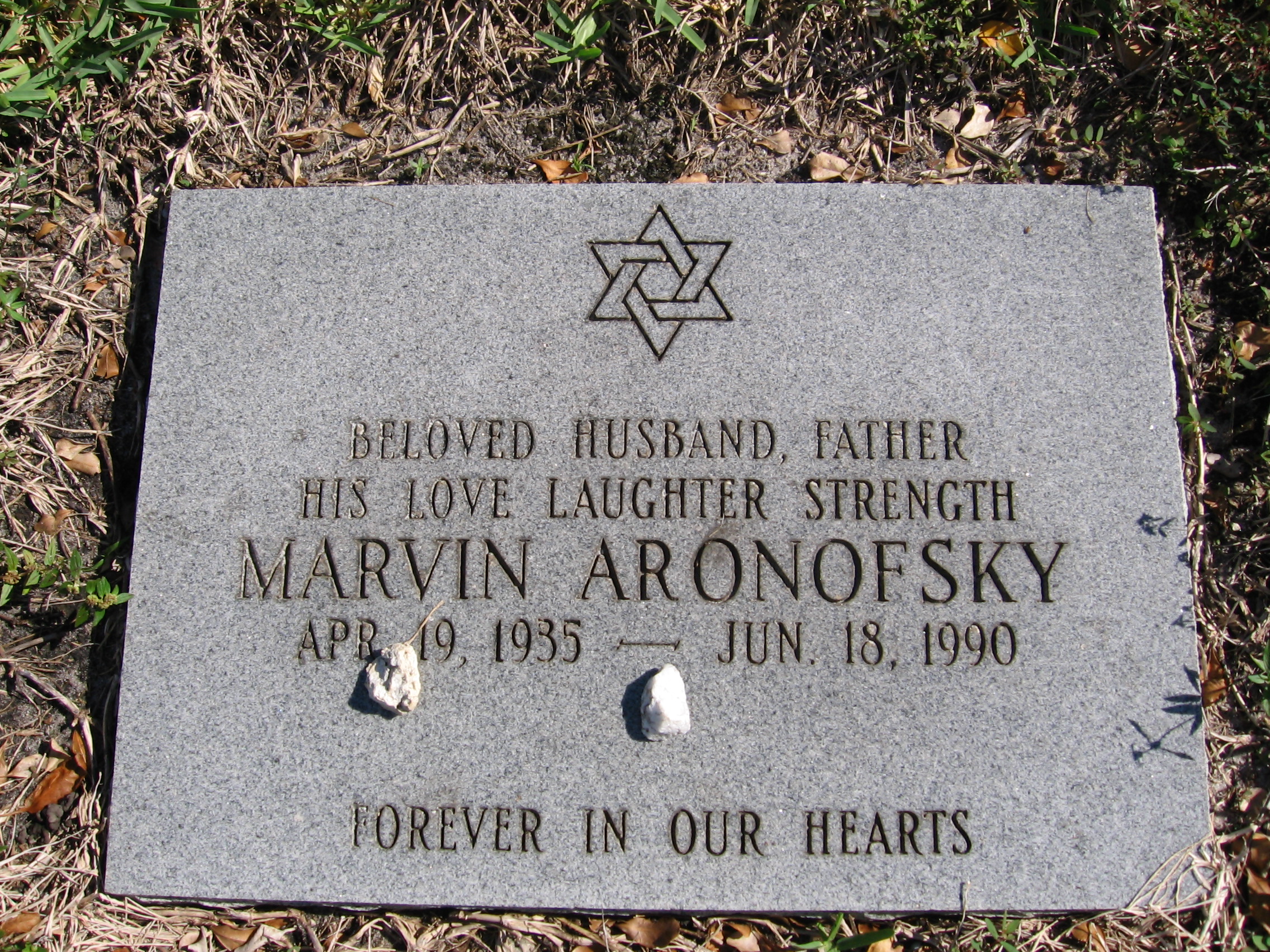 Marvin Aronofsky
