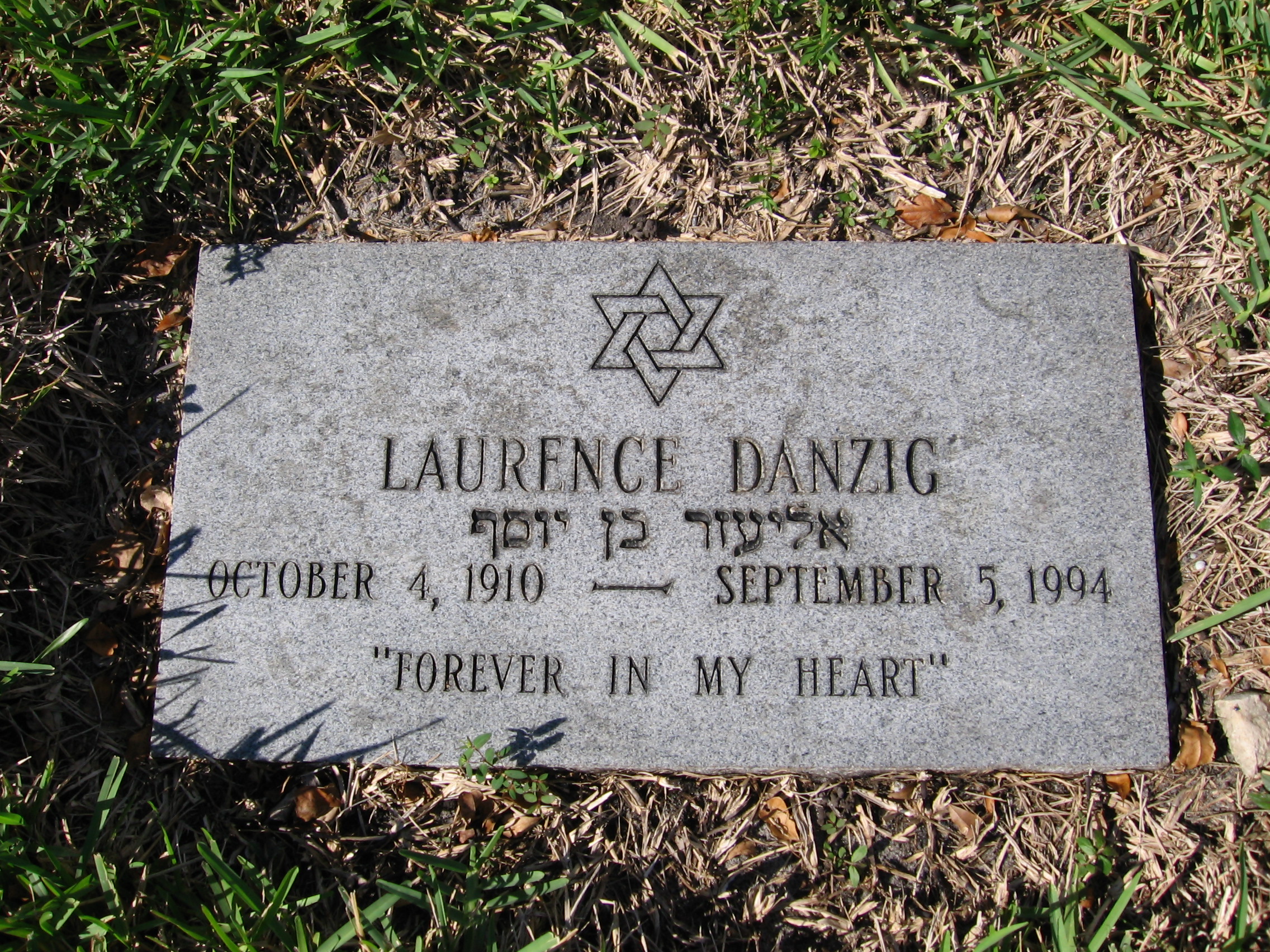 Laurence Danzig