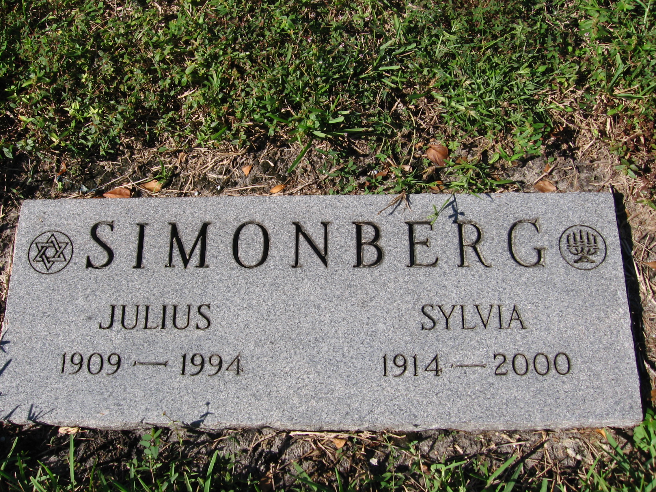 Julius Simonberg
