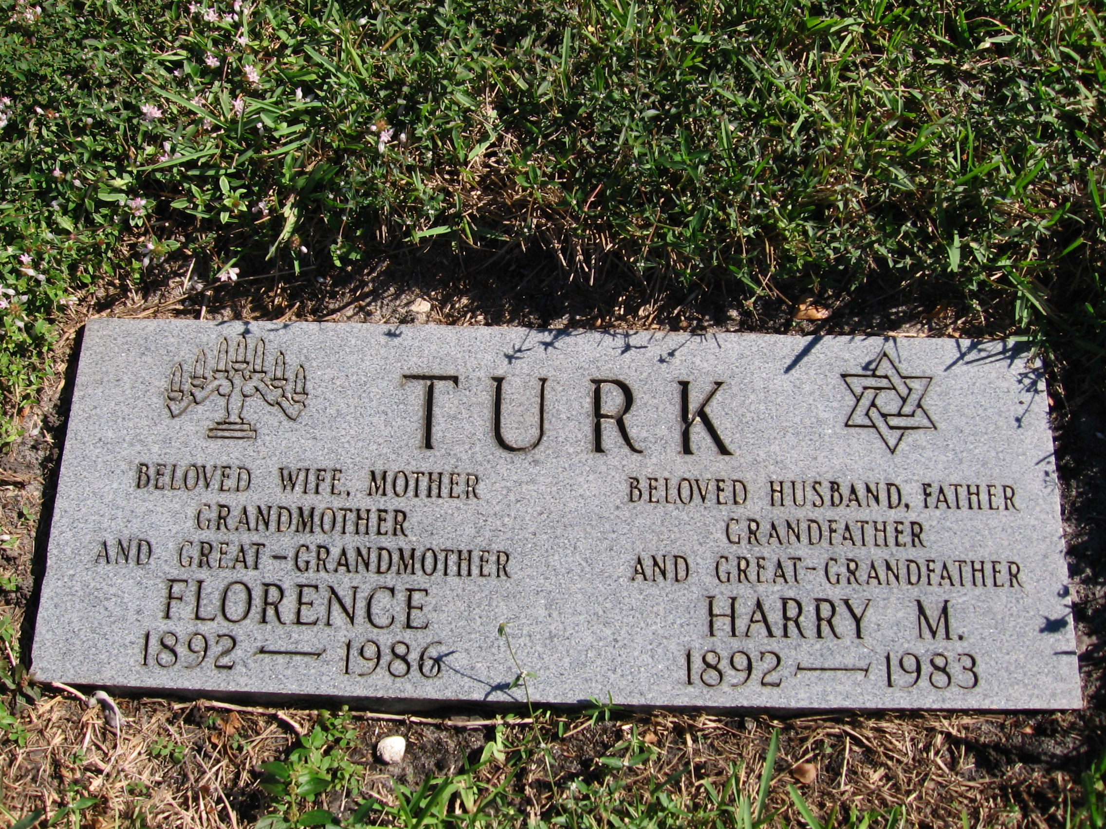 Harry M Turk
