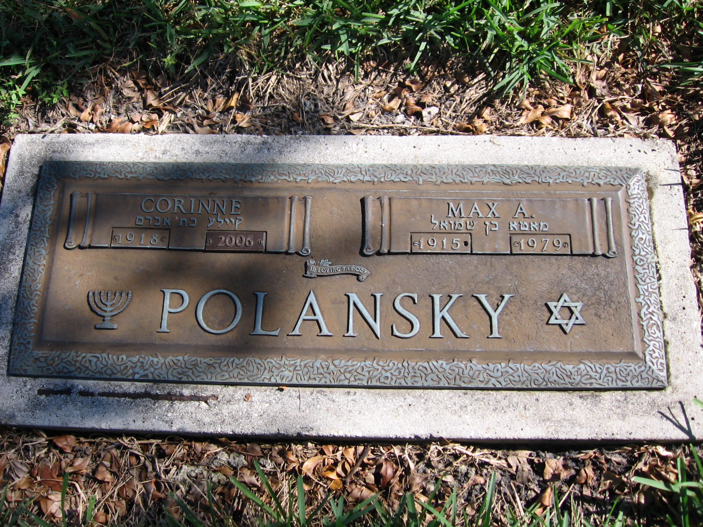 Max A Polansky