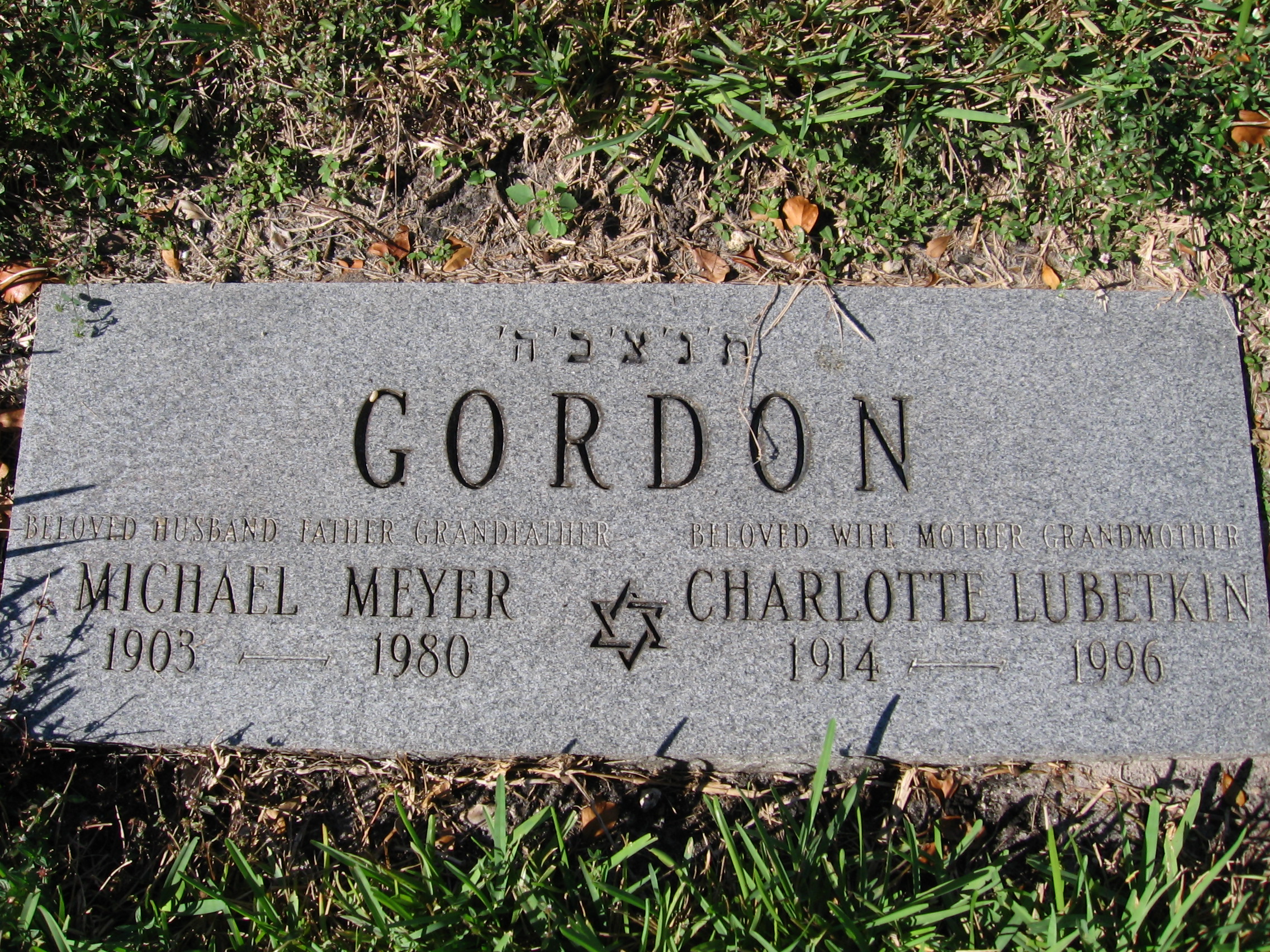 Michael Meyer Gordon