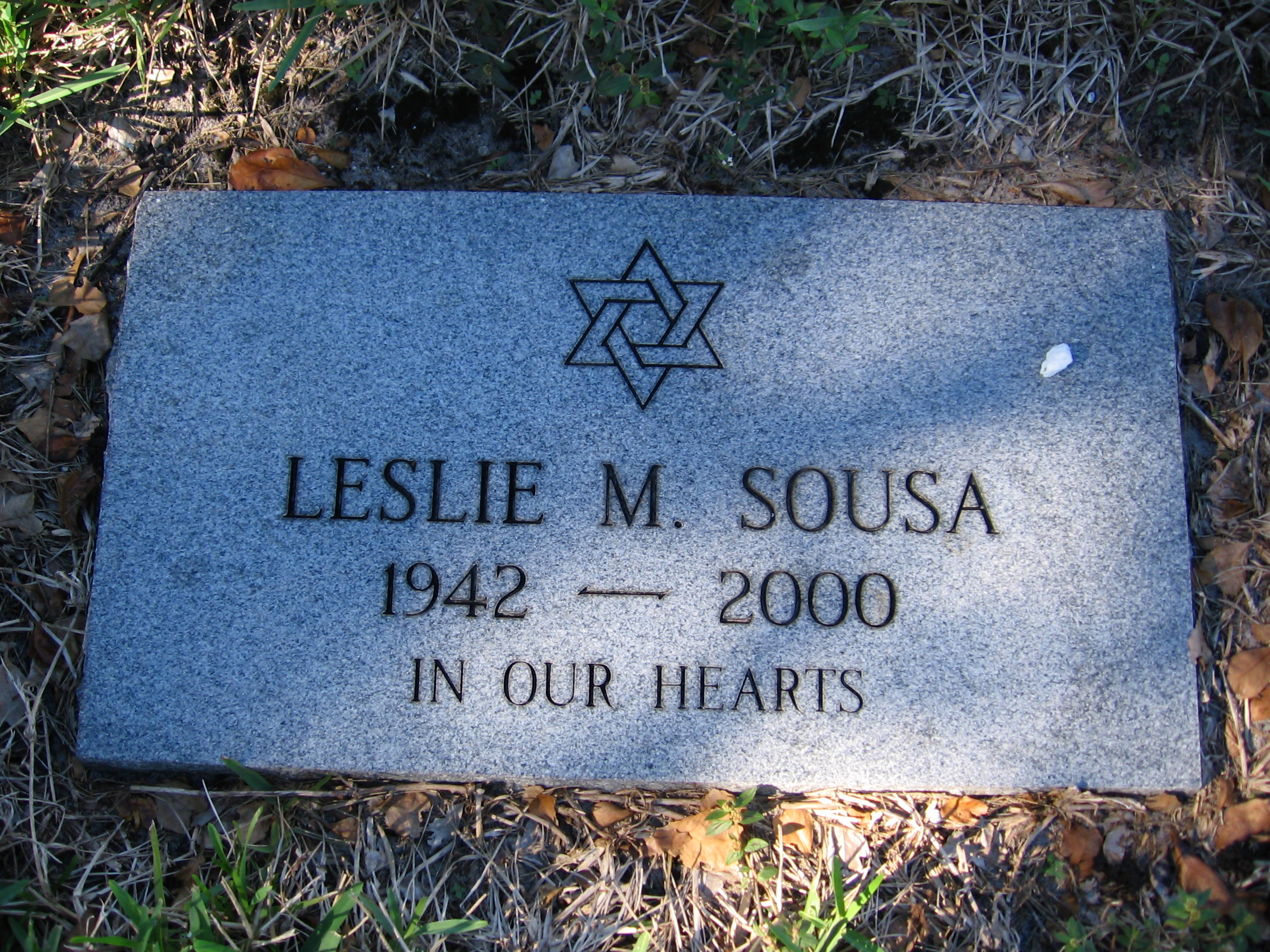 Leslie M Sousa