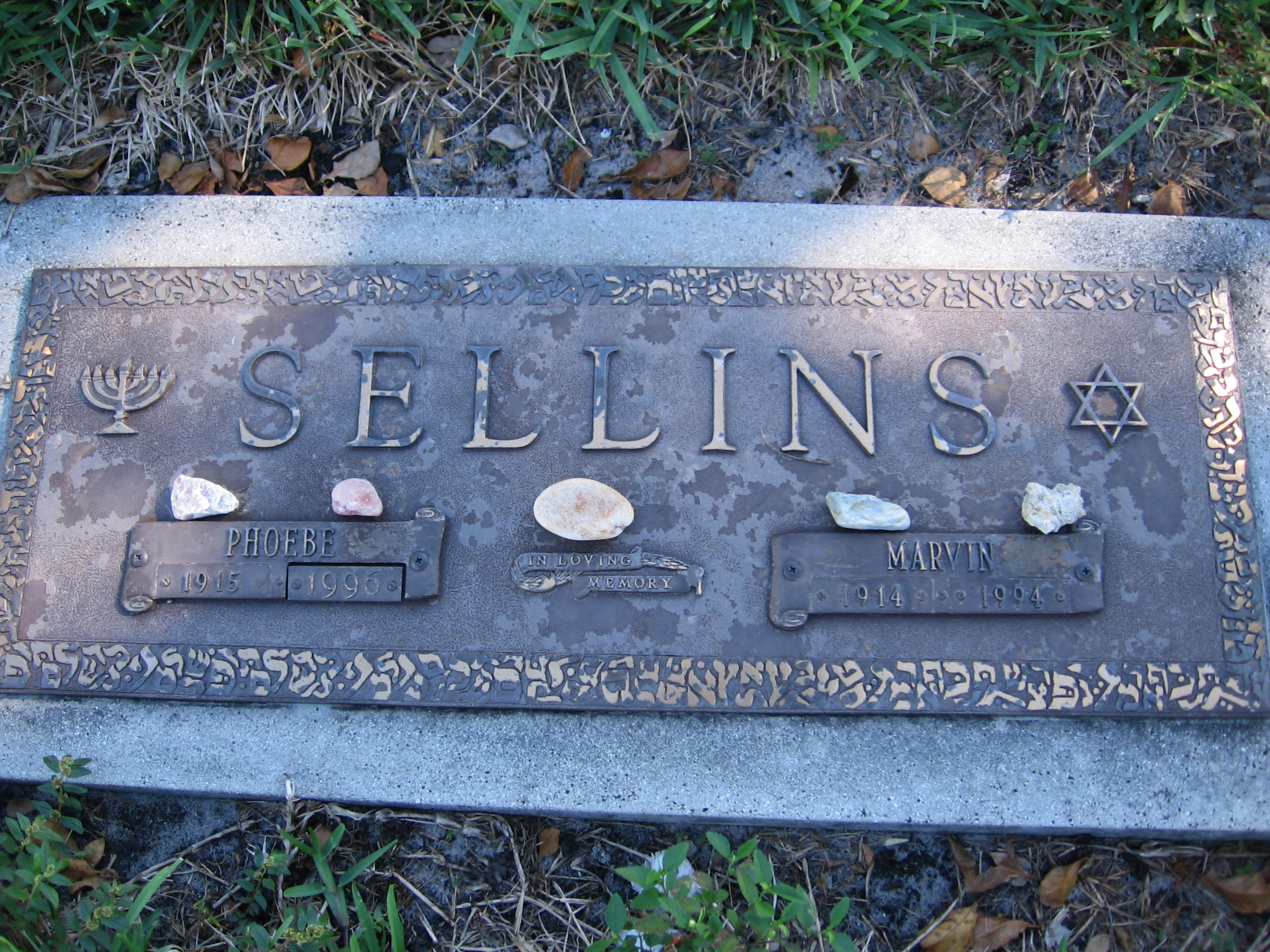 Marvin Sellins