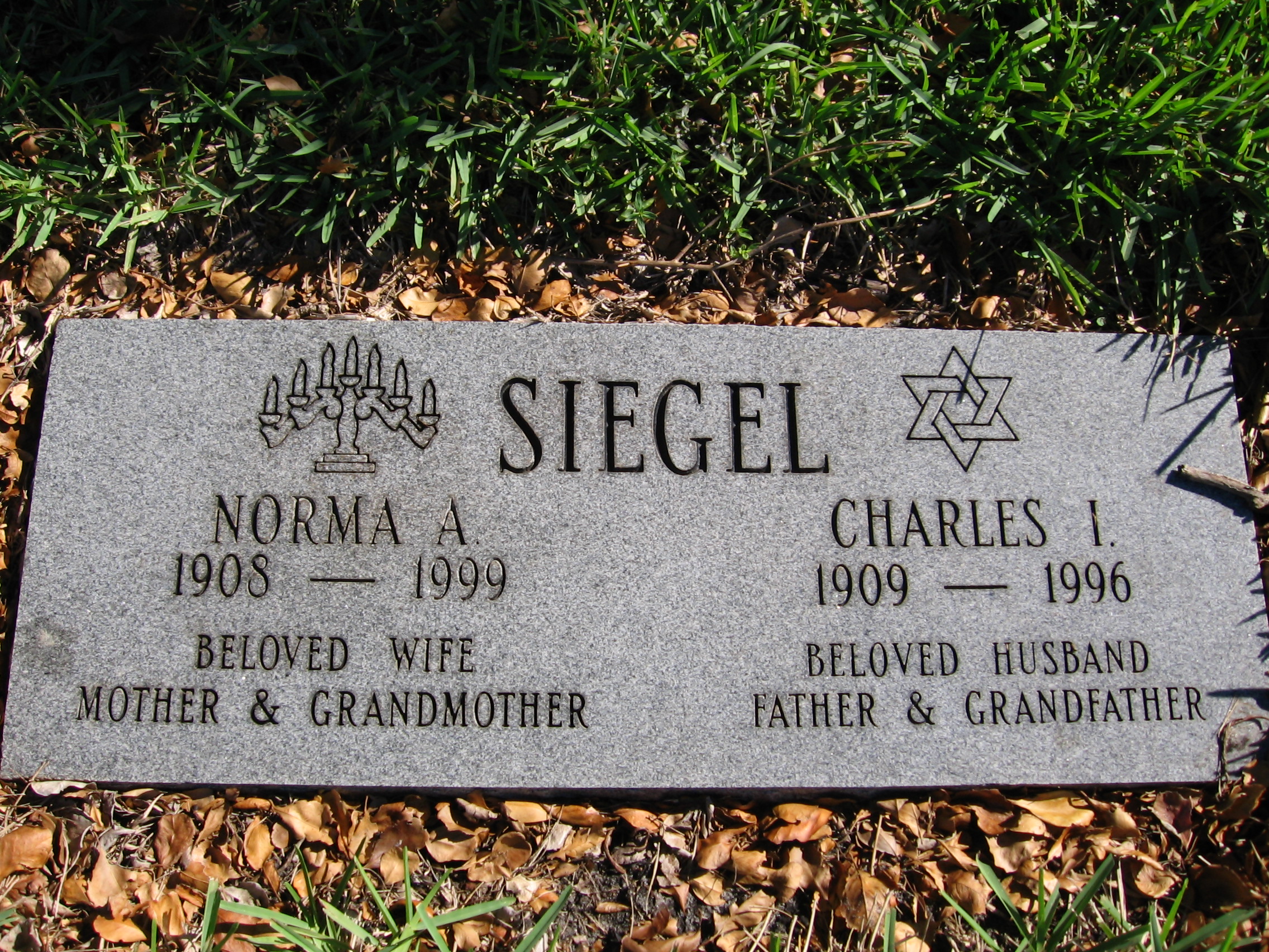 Charles I Siegel