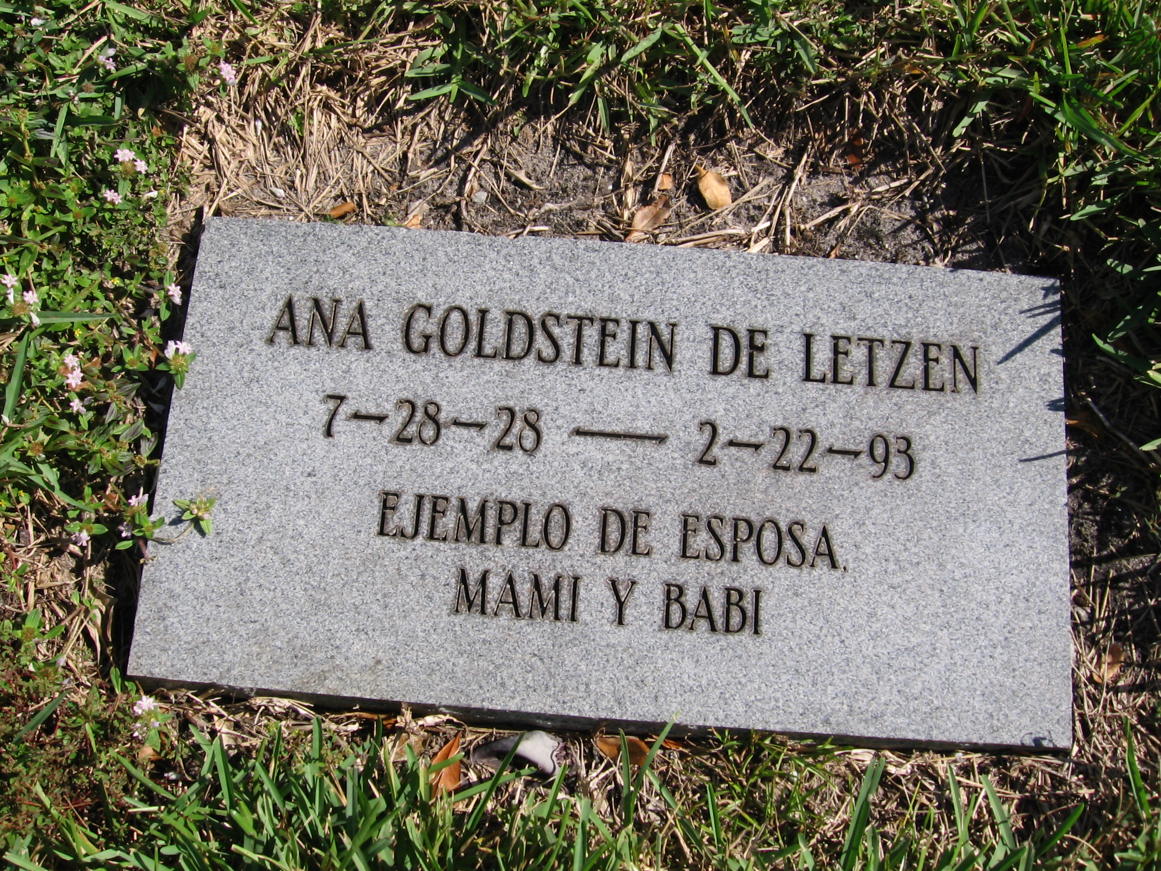 Ana Goldstein De Letzen