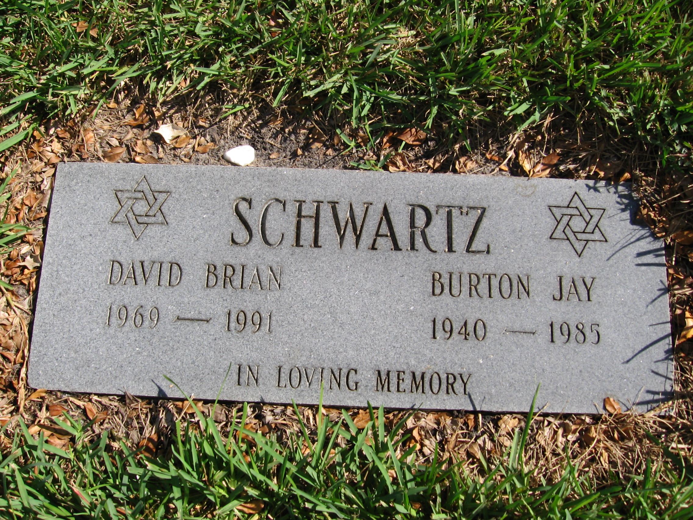 David Brian Schwartz