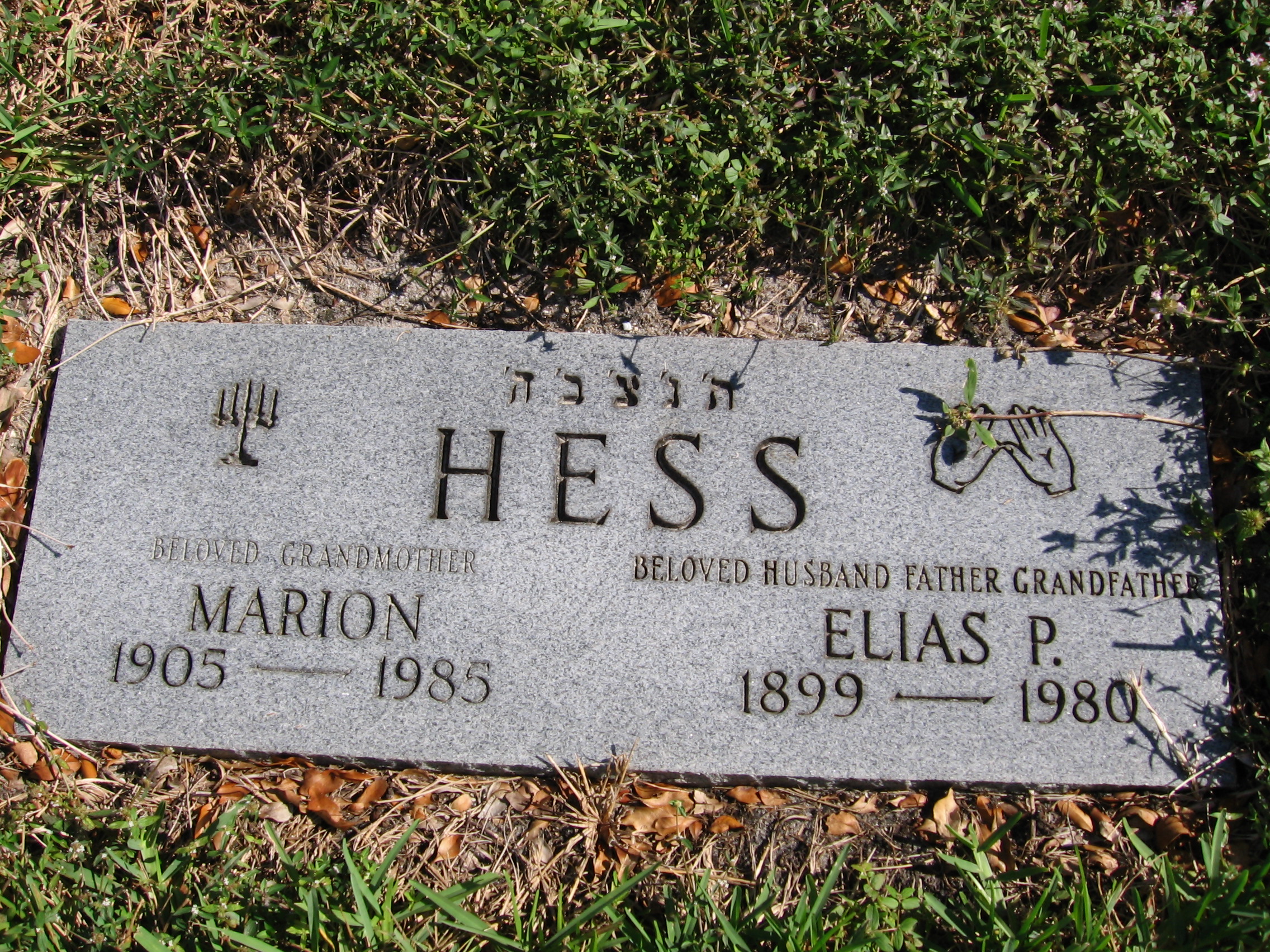 Marion Hess