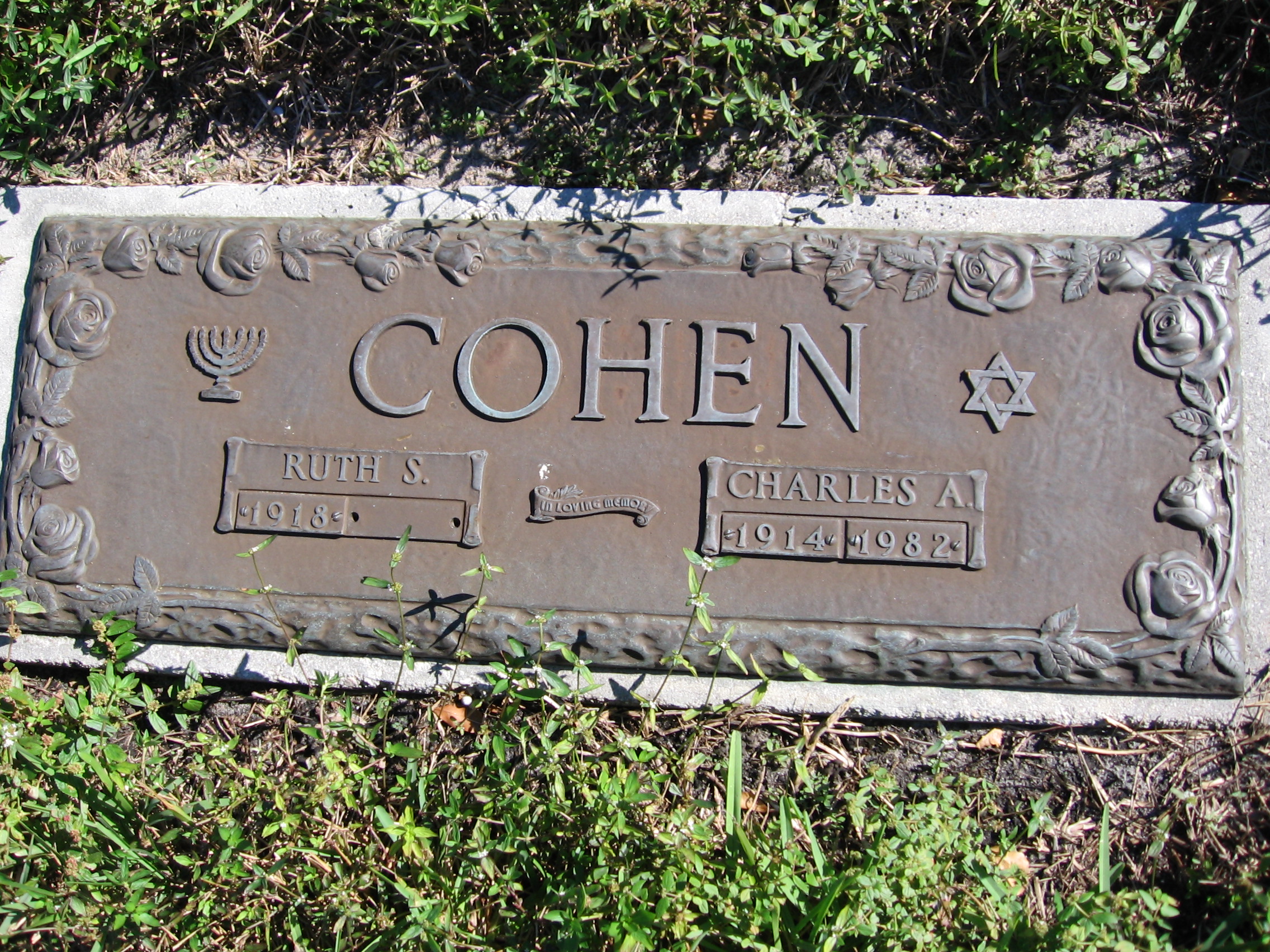 Charles A Cohen