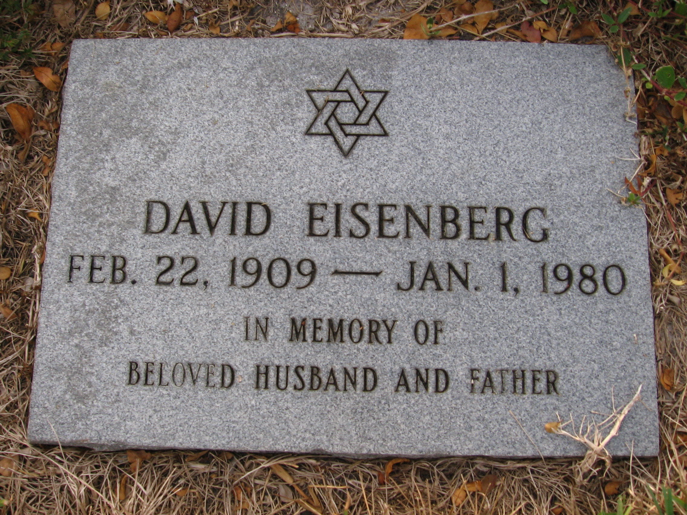 David Eisenberg