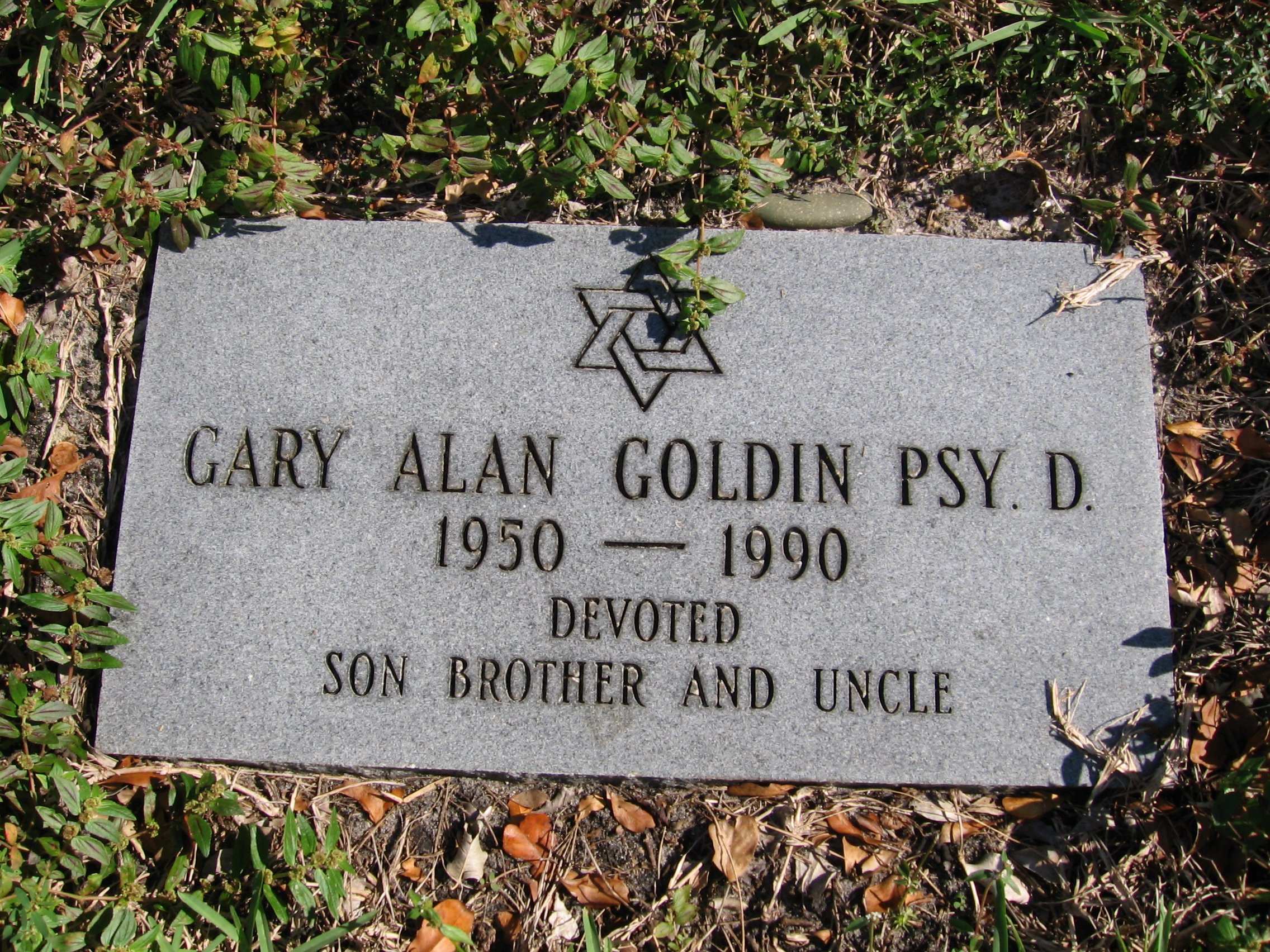 Gary Alan Goldin