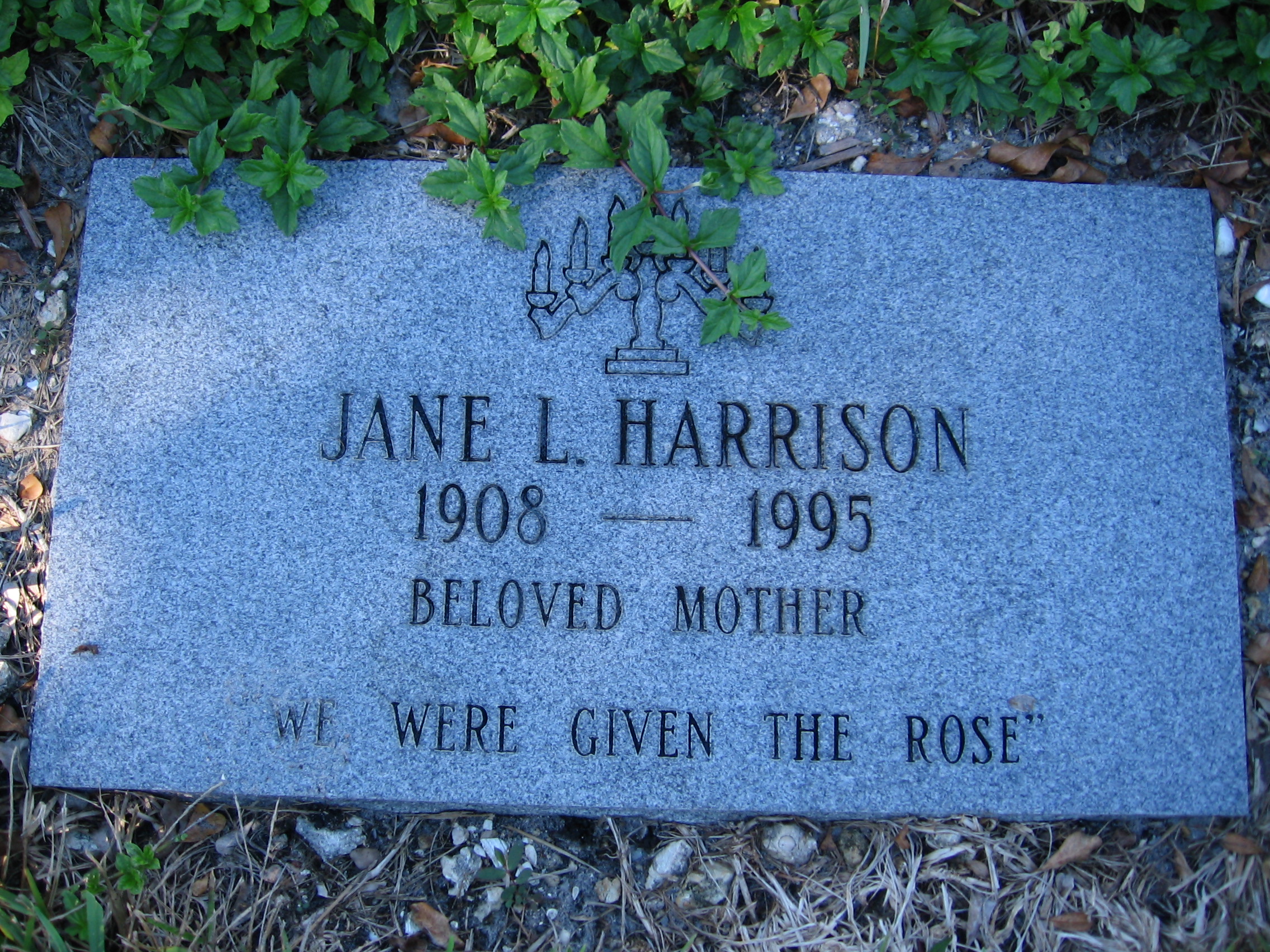 Jane L Harrison
