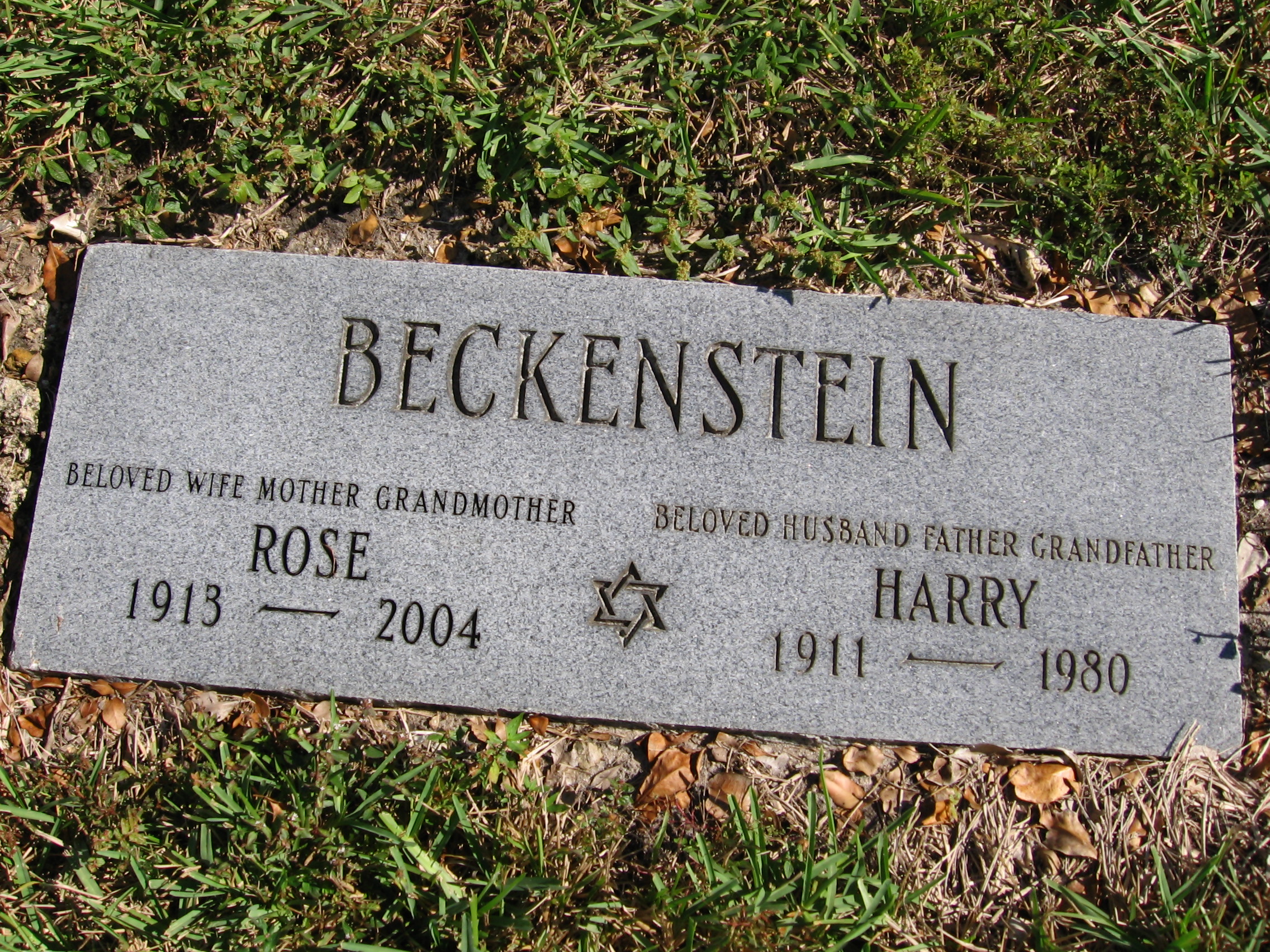 Harry Beckenstein