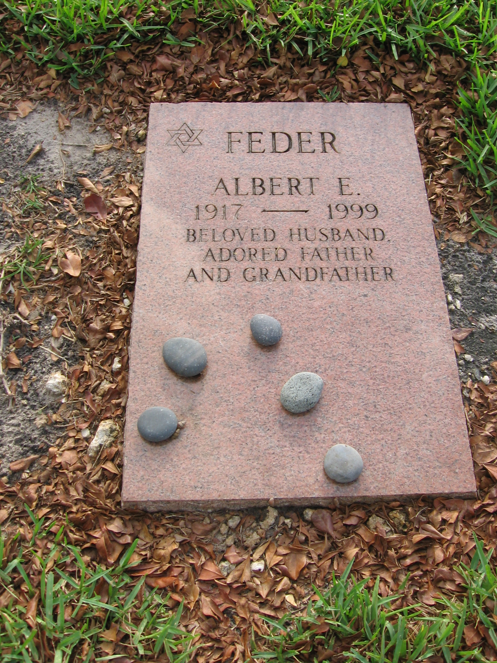 Albert E Feder