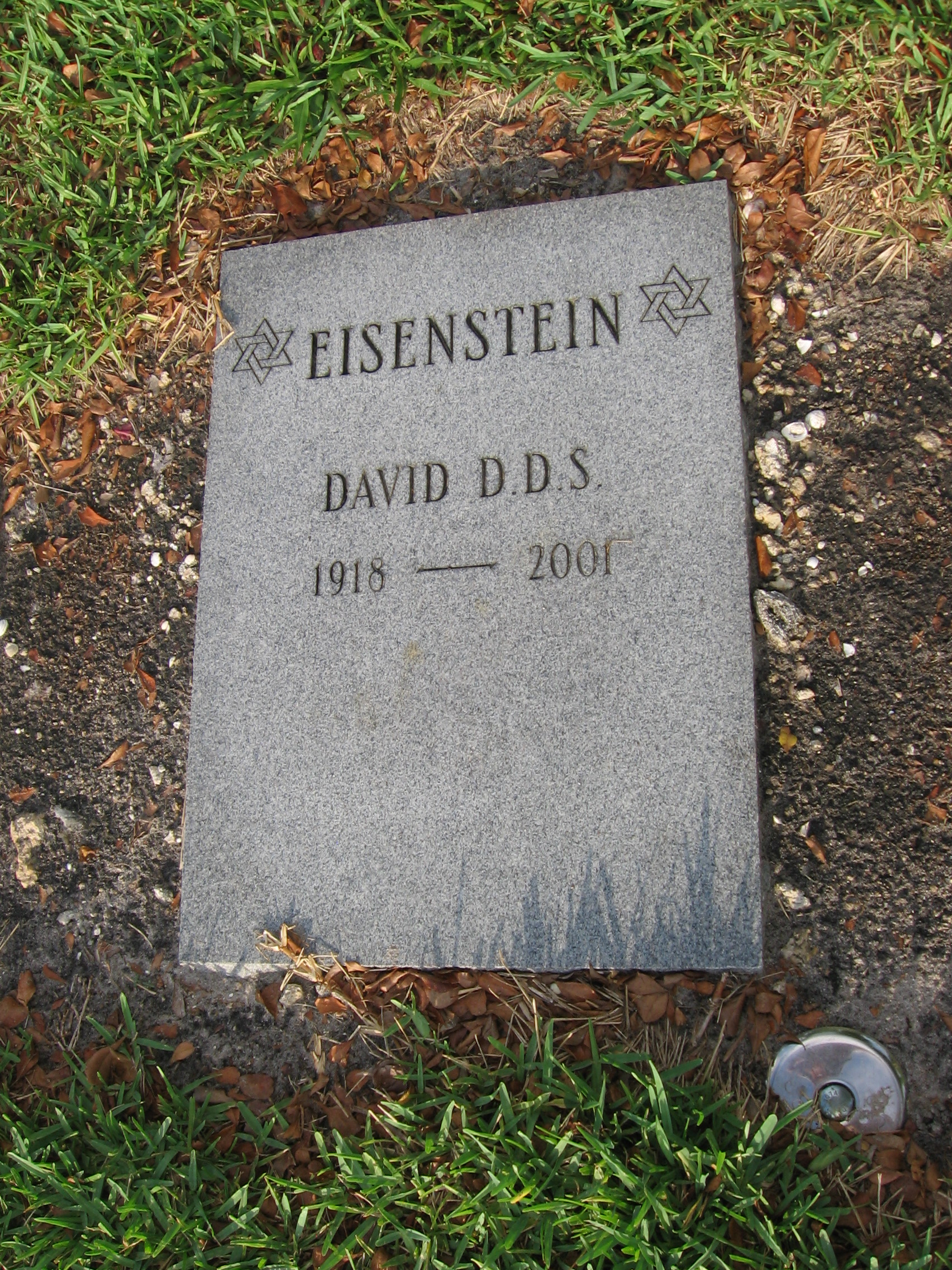 David Eisenstein