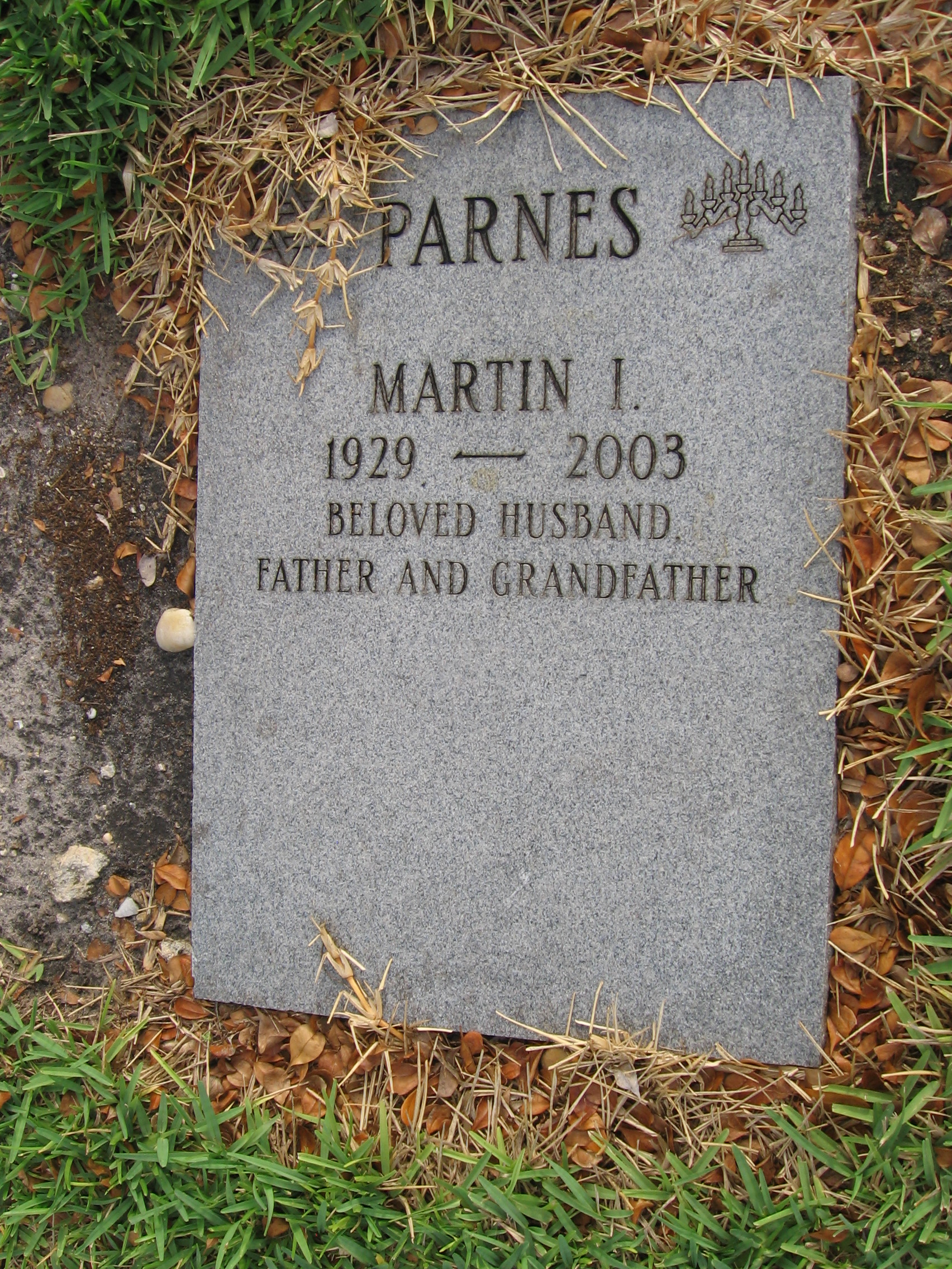 Martin I Parnes