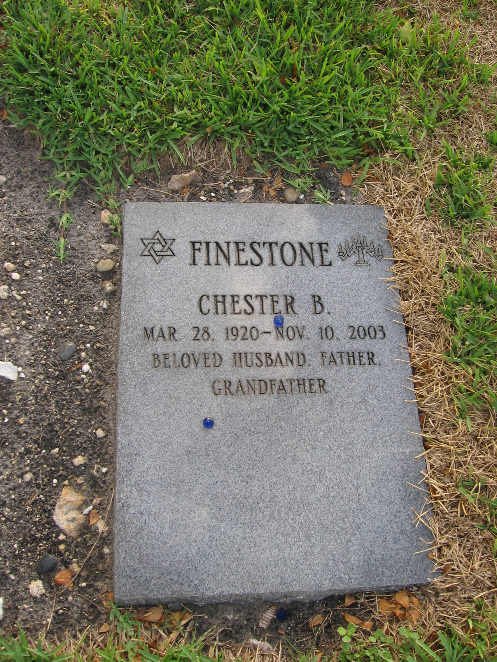 Chester B Finestone