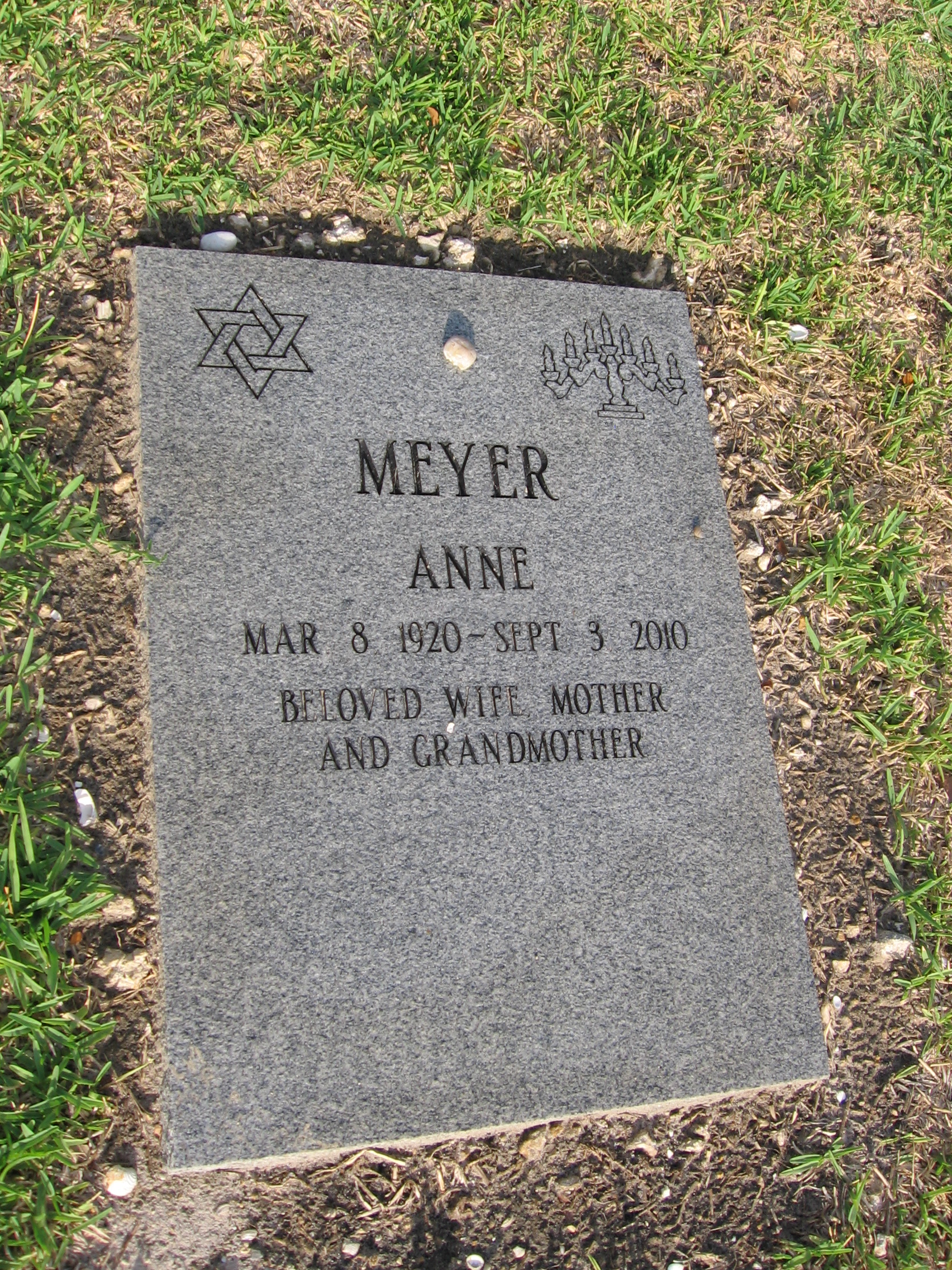 Anne Meyer