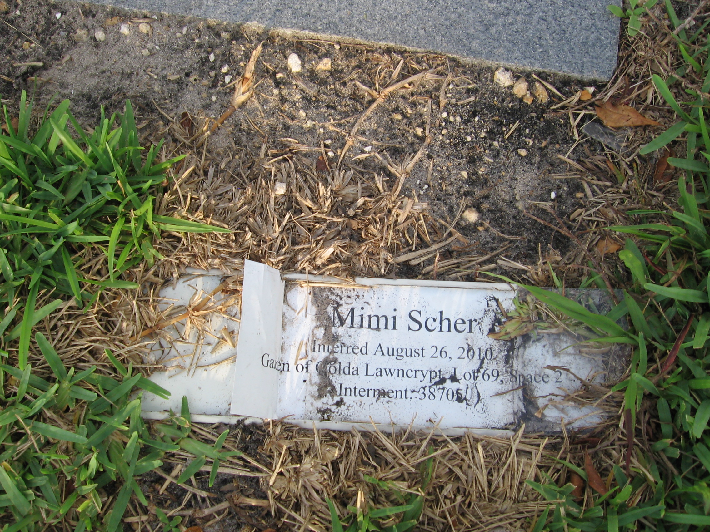 Mimi Scher