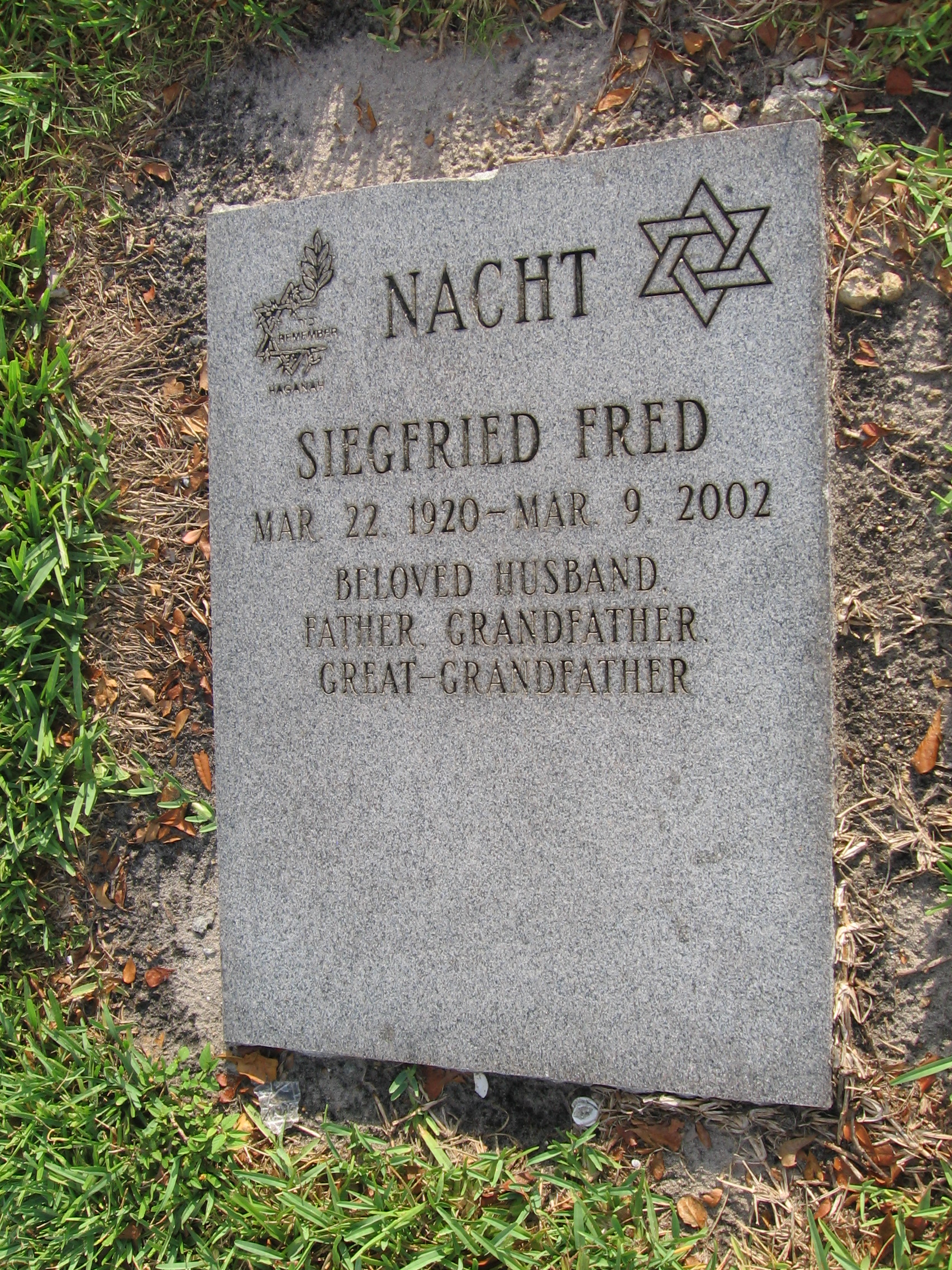 Siegfried Fred Nacht