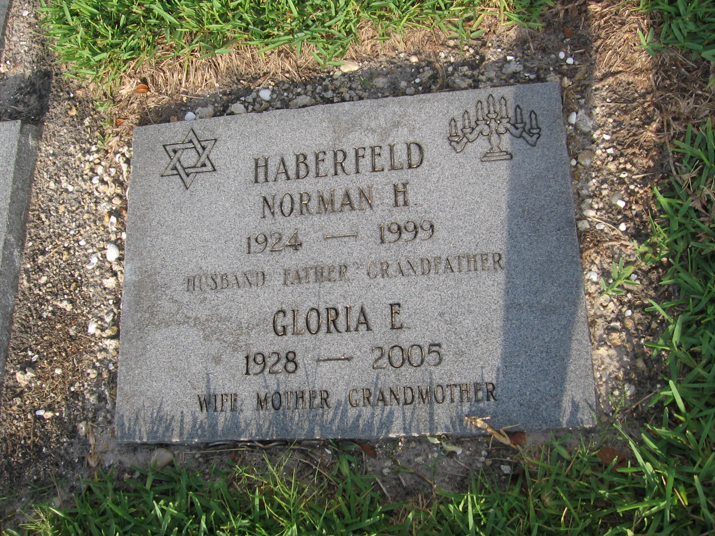 Gloria E Haberfeld