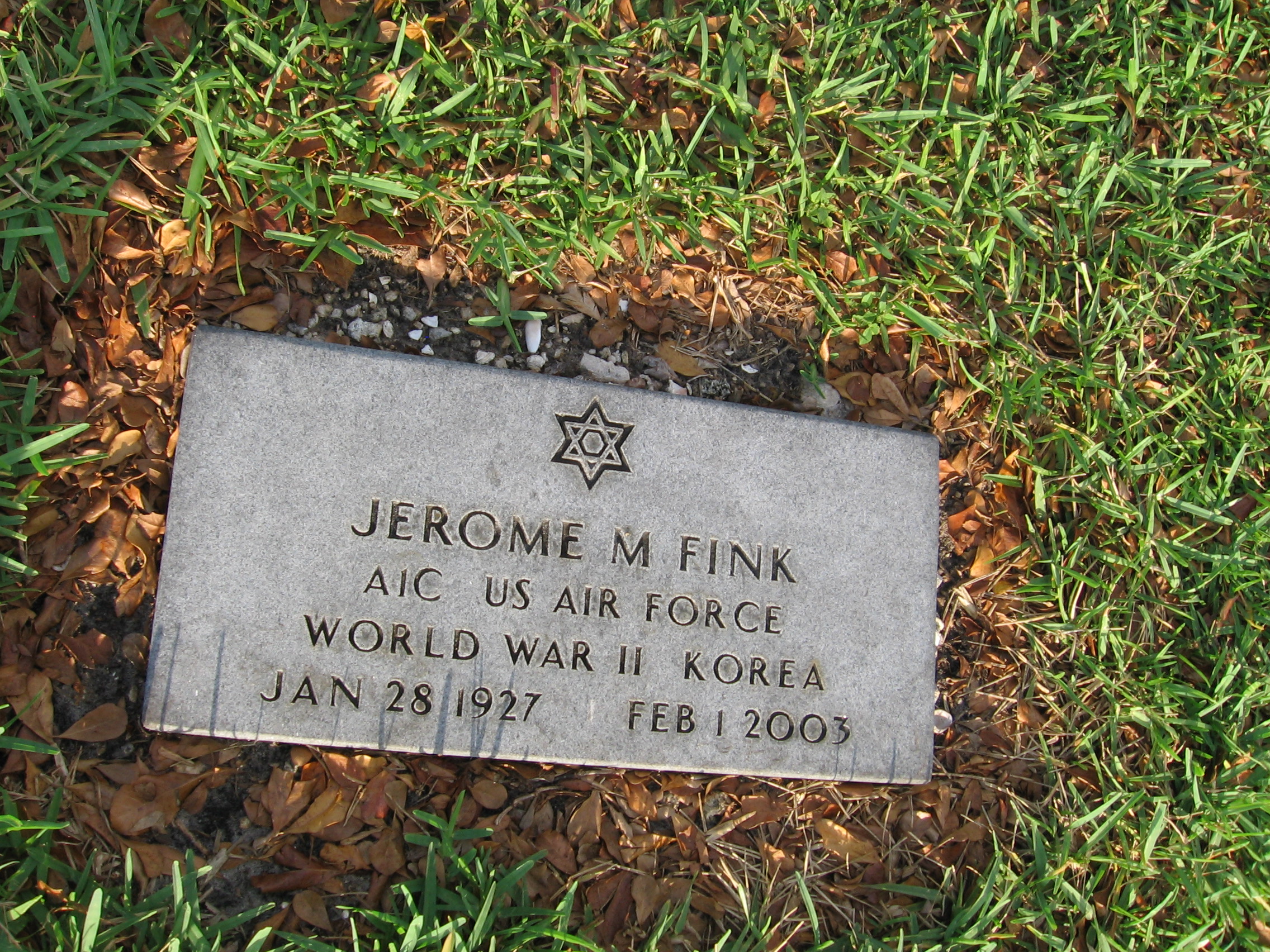 Jerome M Fink