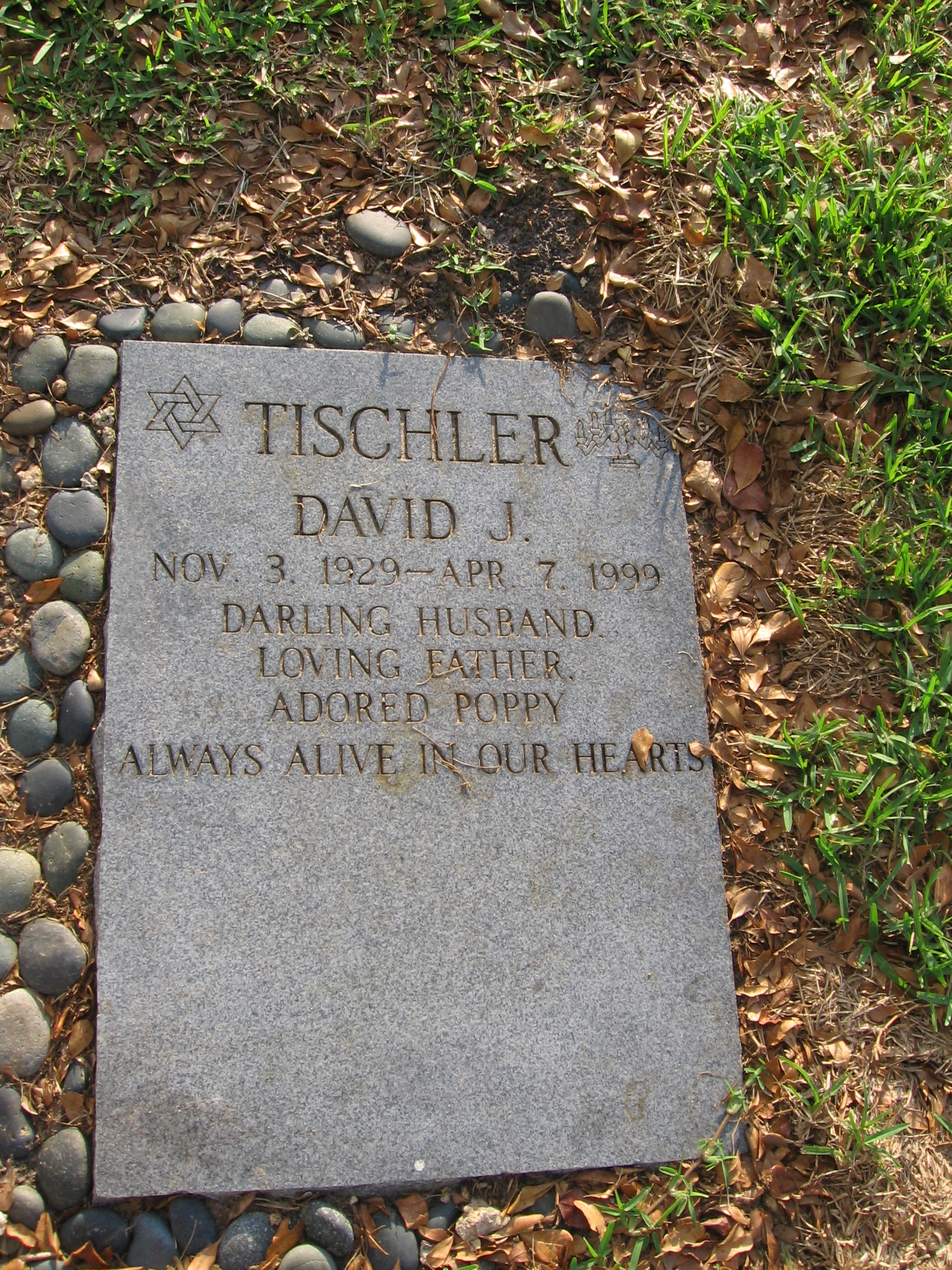 David J Tischler