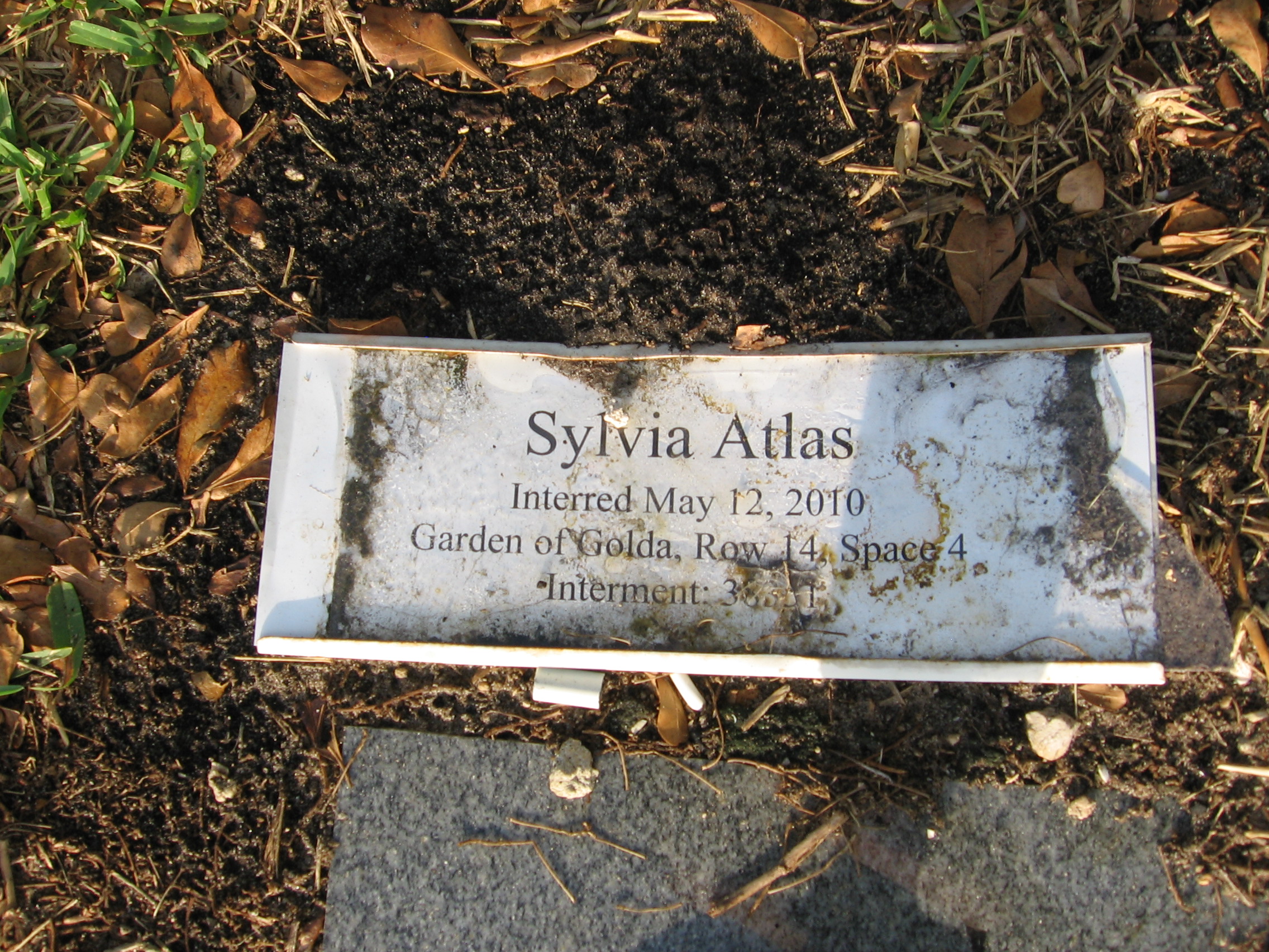 Sylvia Atlas