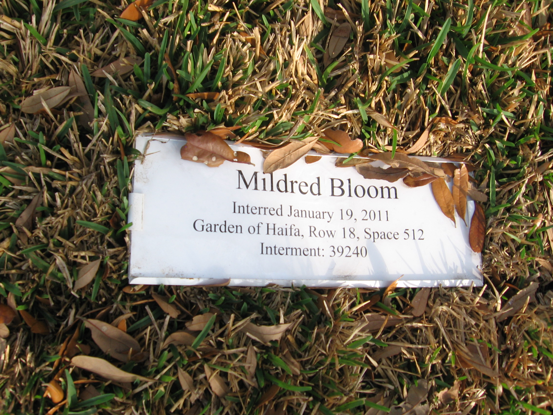 Mildred Bloom
