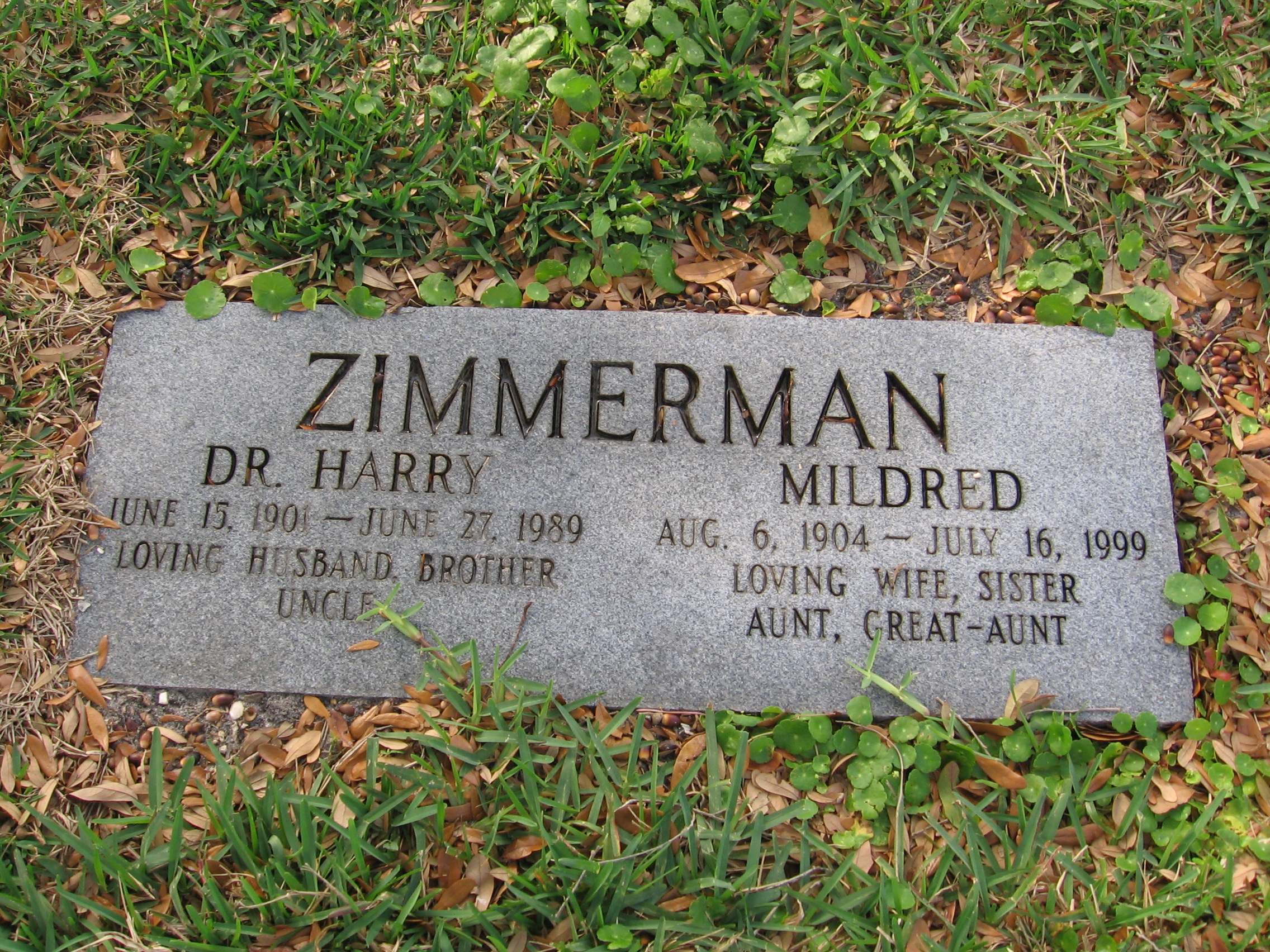 Dr Harry Zimmerman