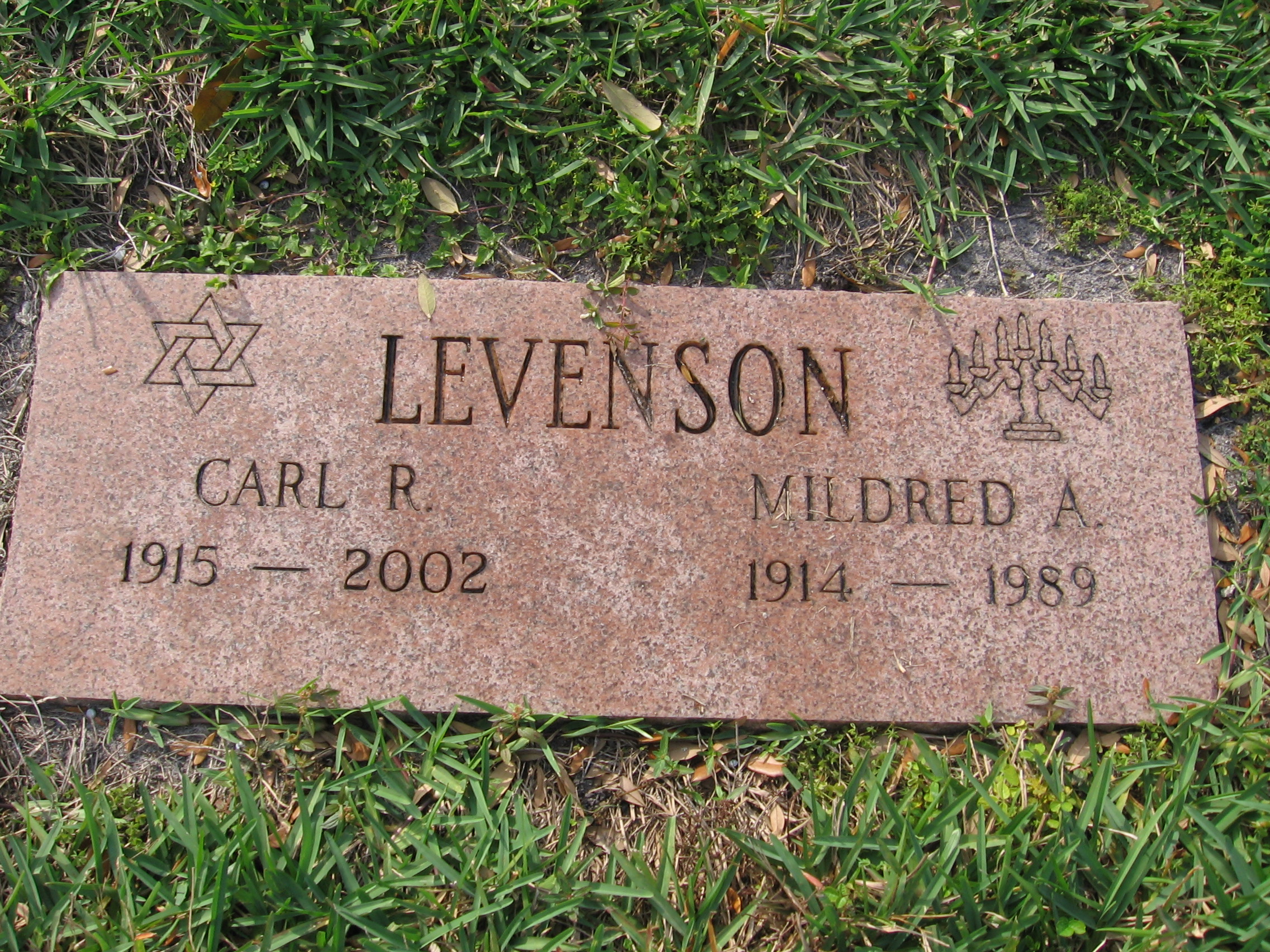 Carl R Levenson
