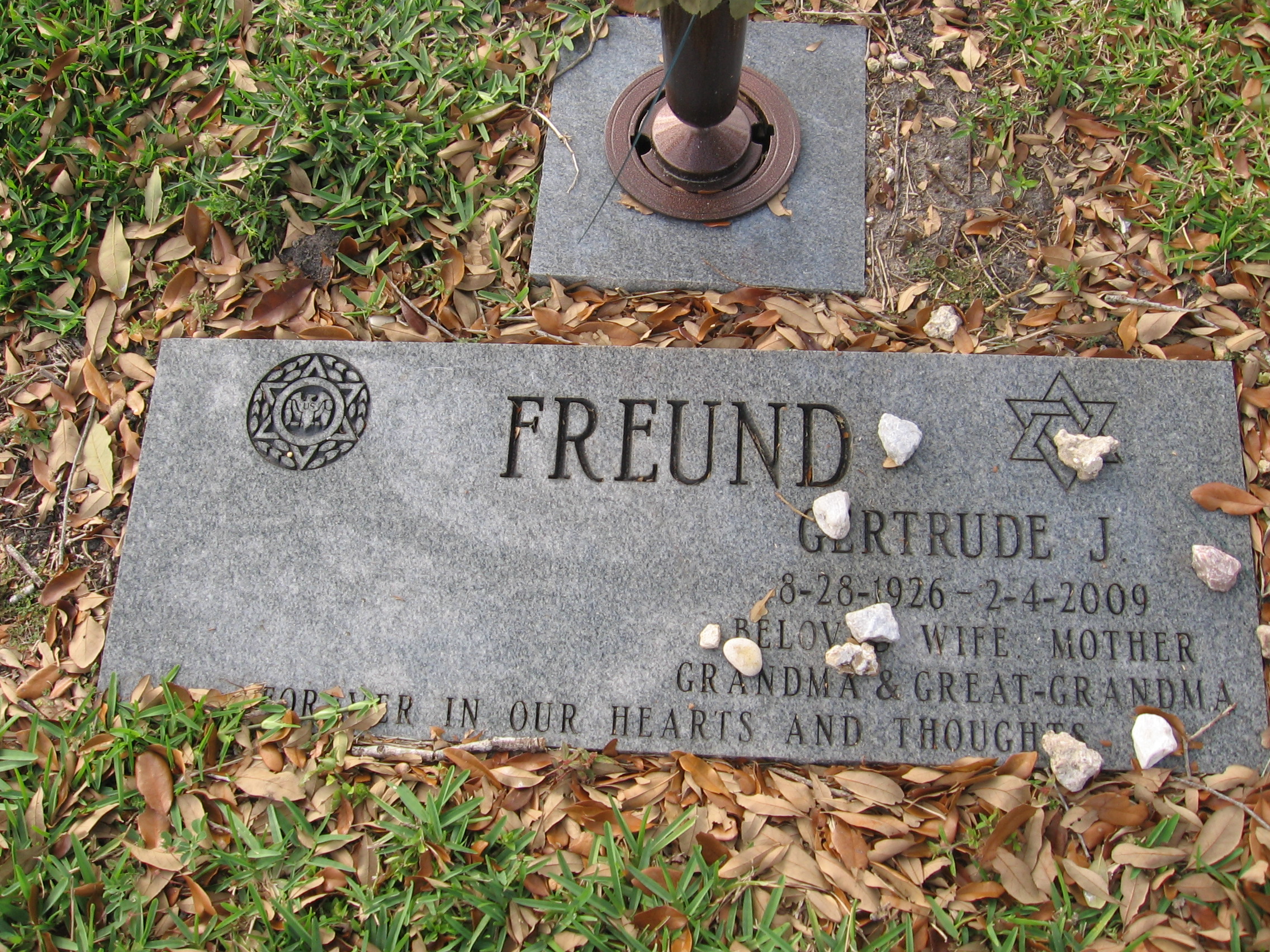 Gertrude J Freund