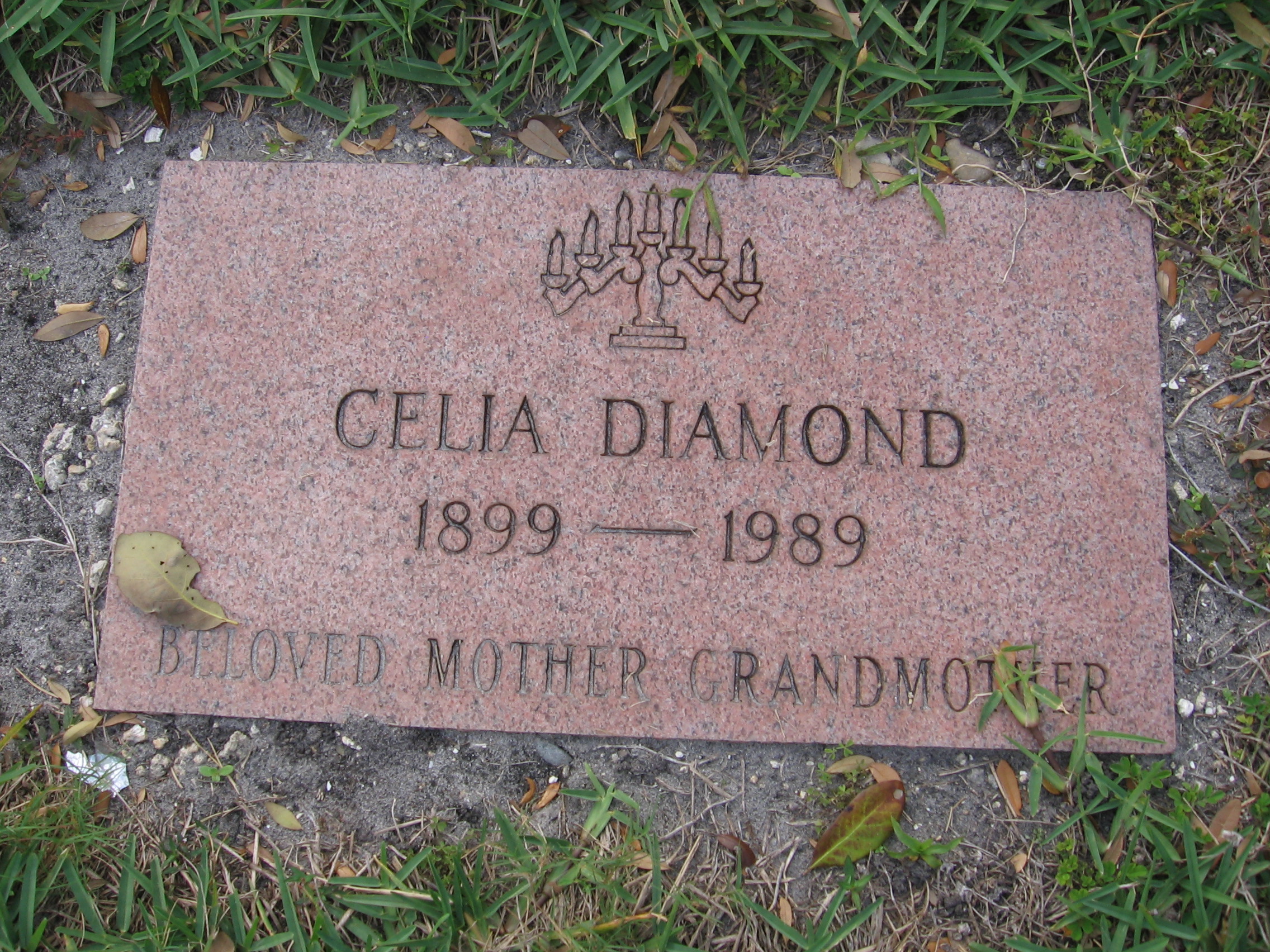 Celia Diamond