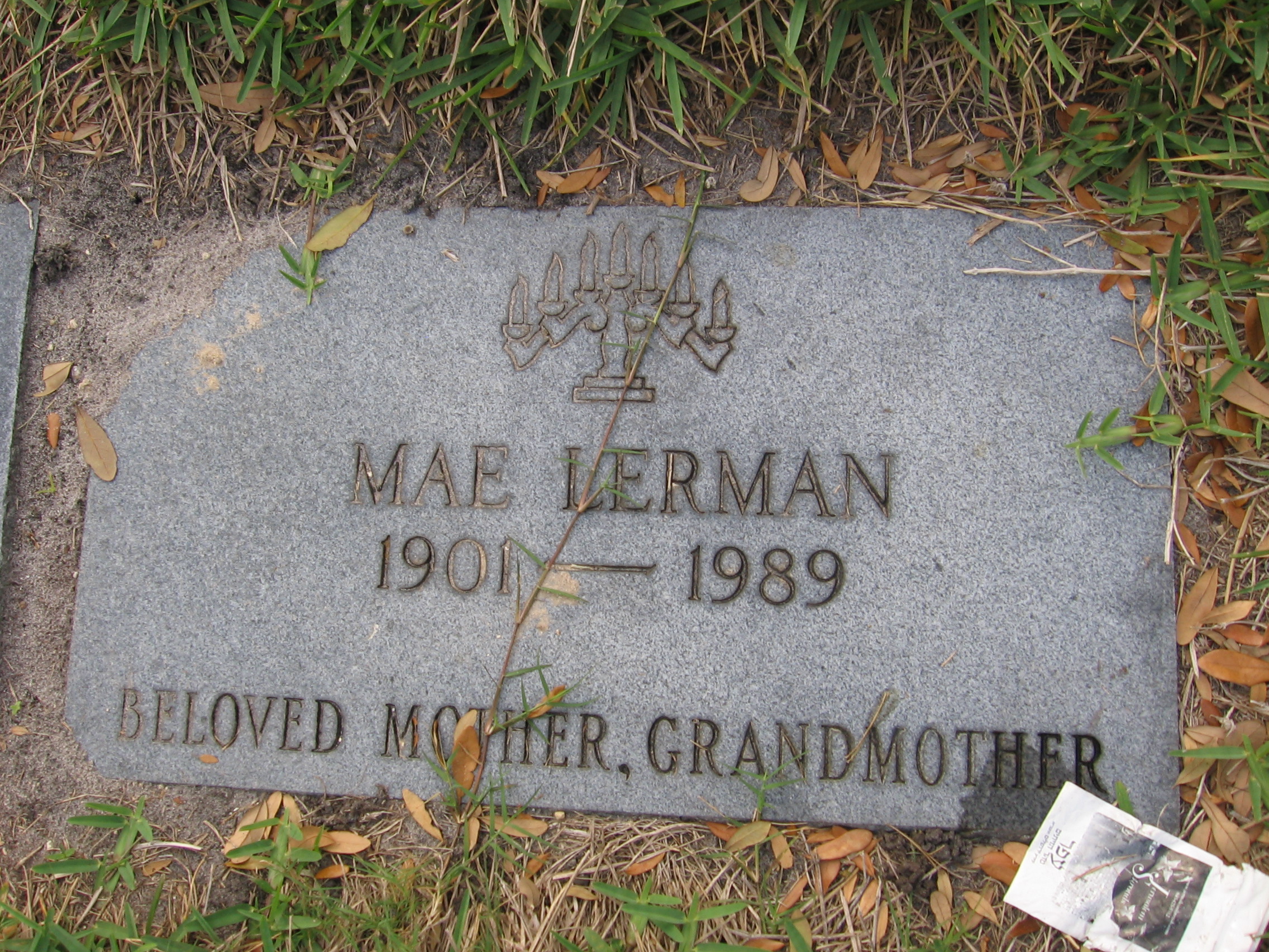 Mae Lerman
