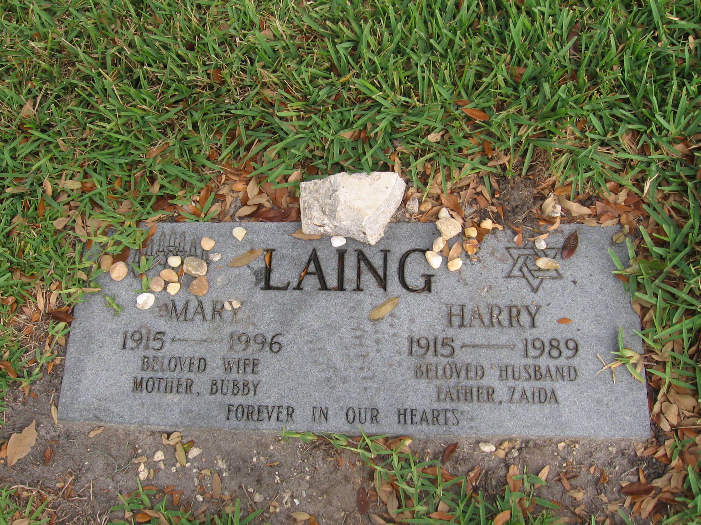 Harry Laing