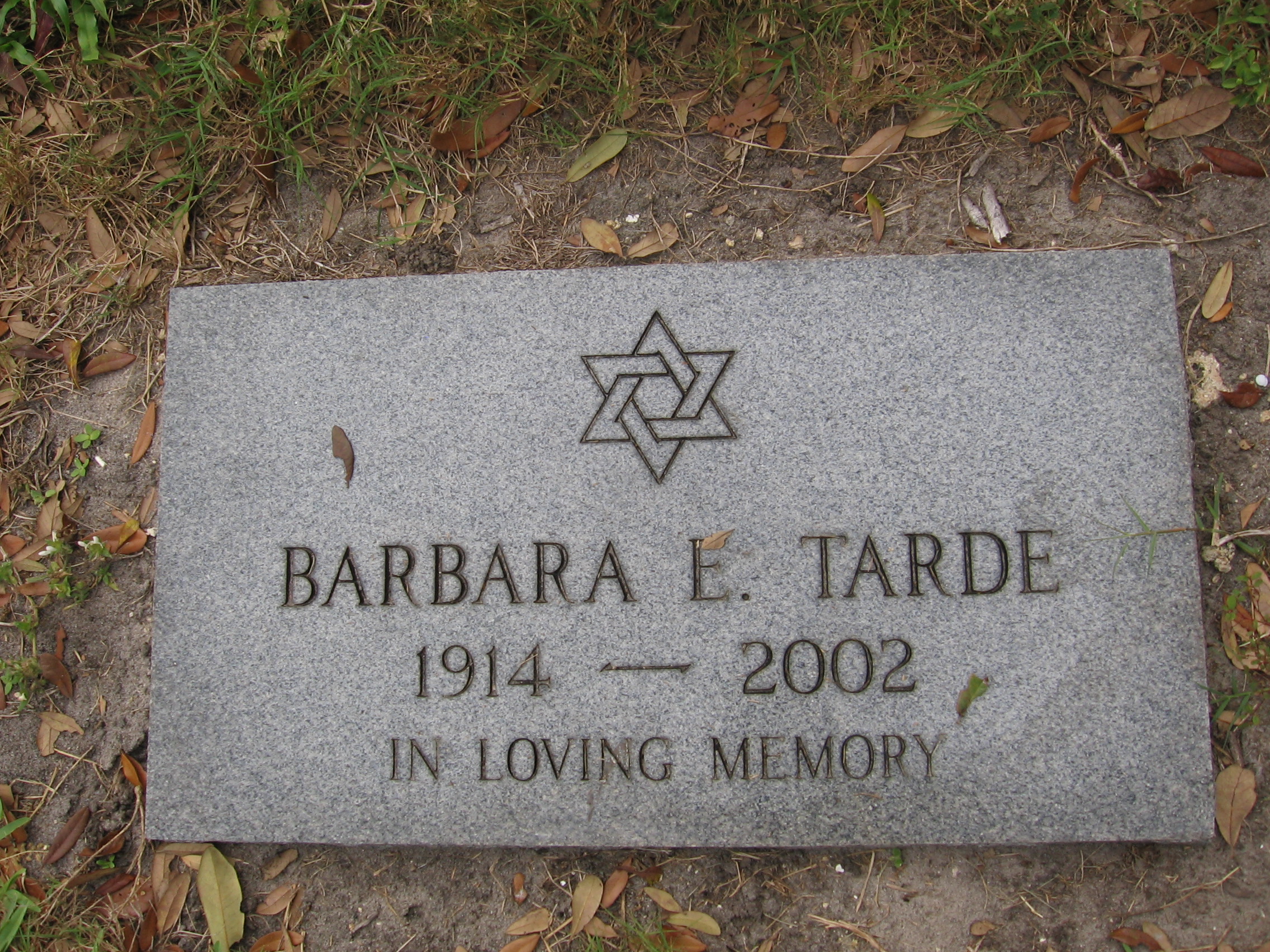 Barbara E Tarde