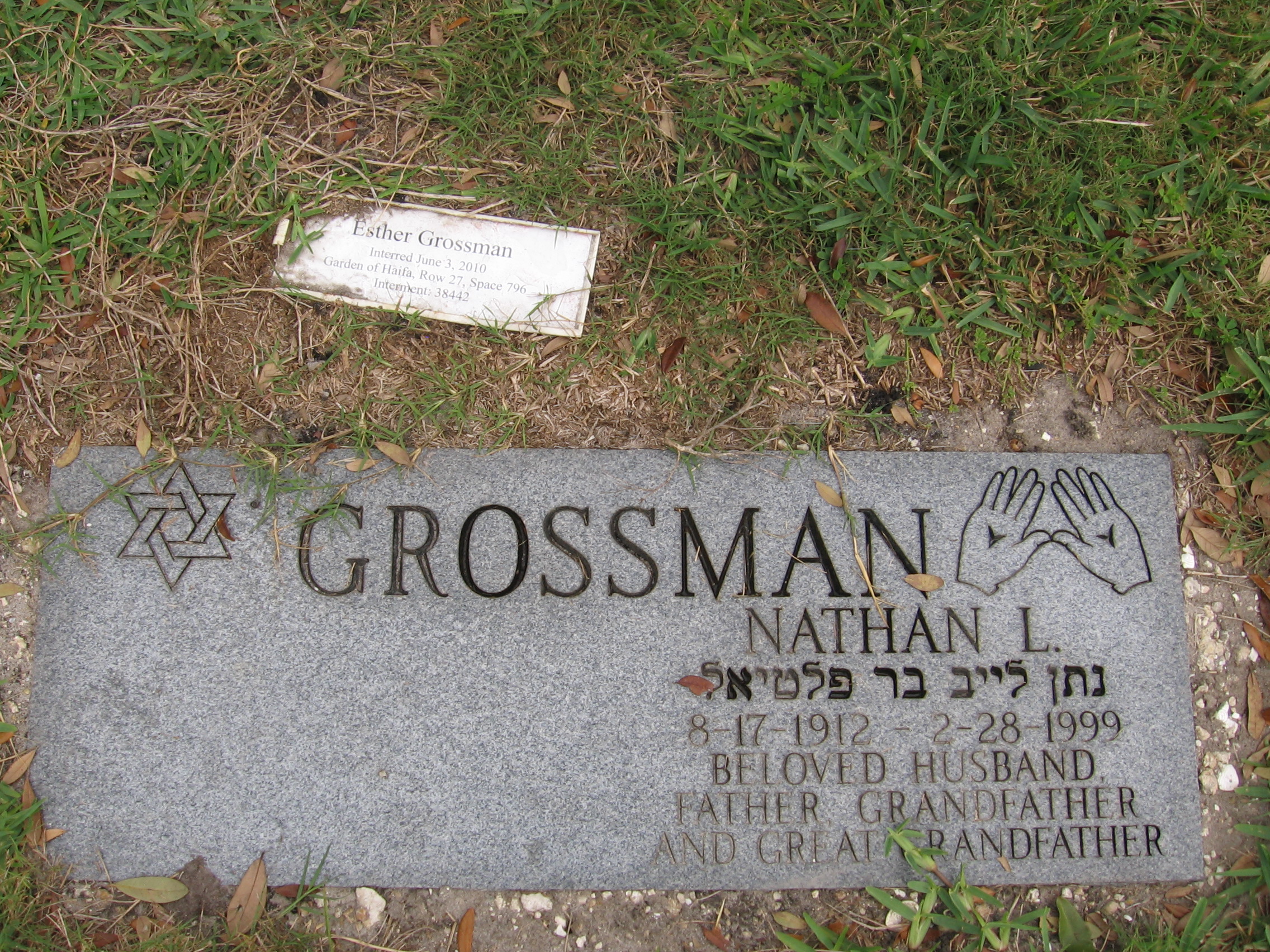 Nathan L Gossman