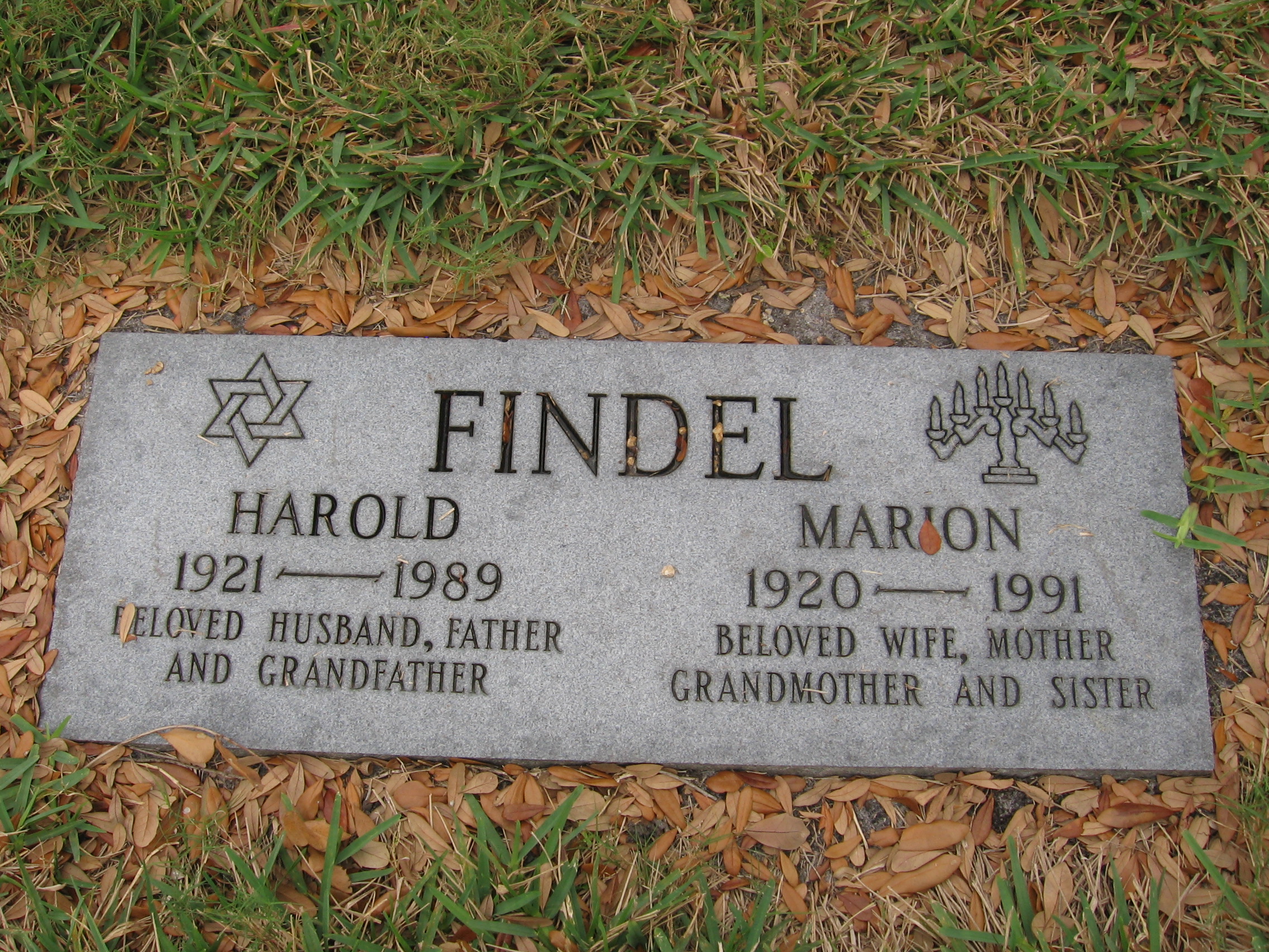 Harold Findel
